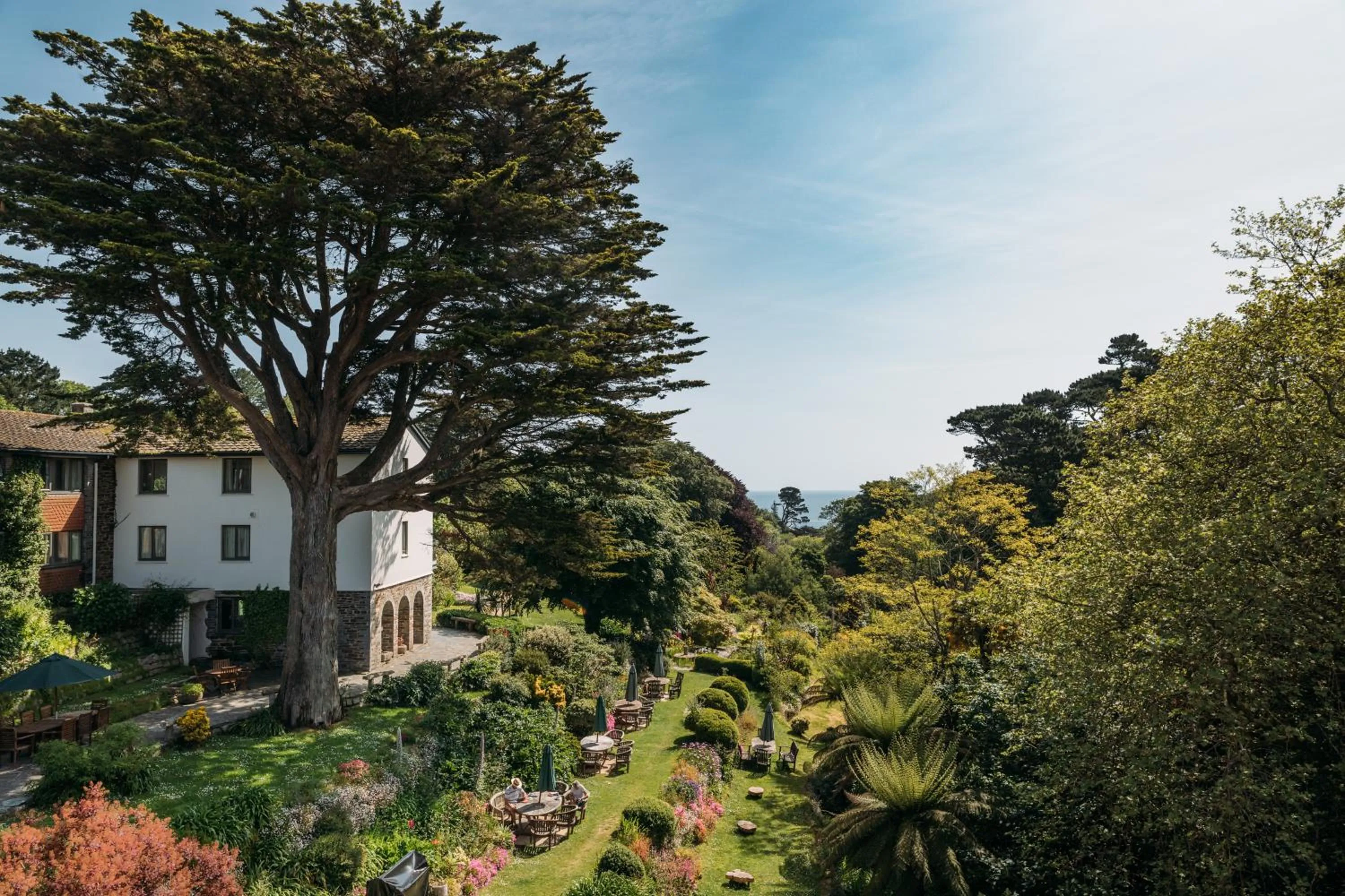 Garden in Hotel Meudon