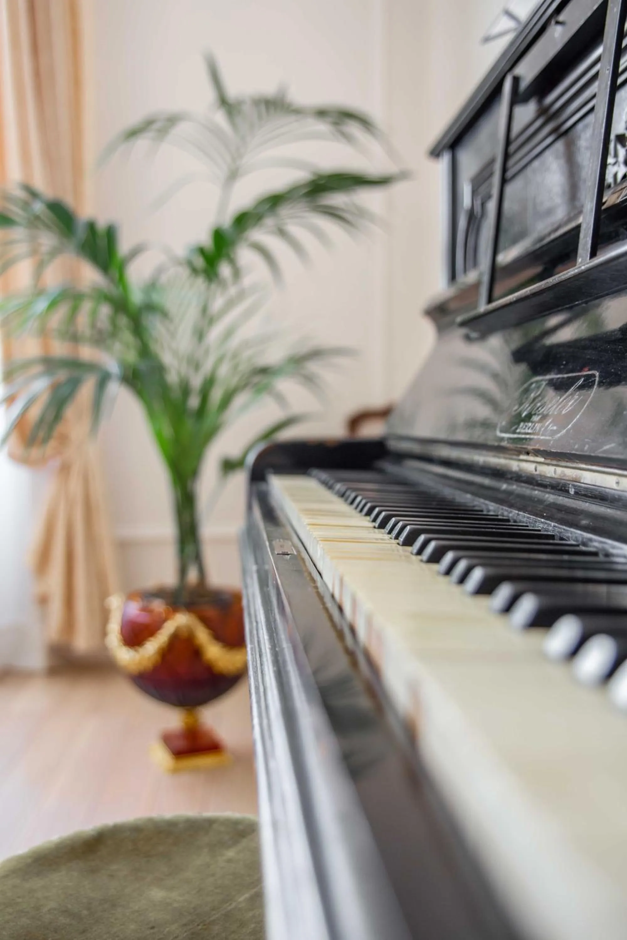 Stanze del David Place