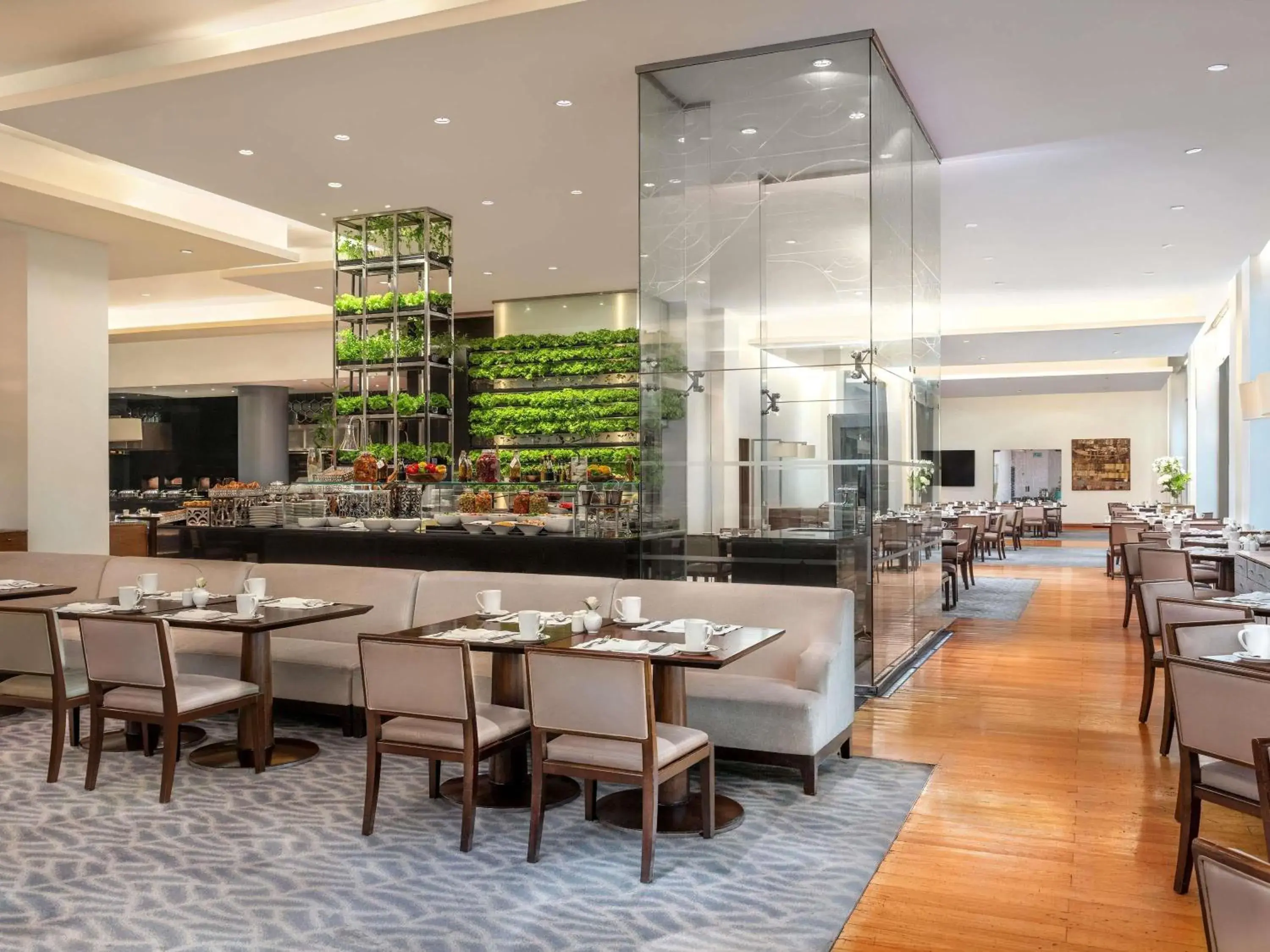 Restaurant/places to eat in Sofitel Cairo Downtown Nile Restaurant/places to eat in Sofitel Cairo Downtown Nile