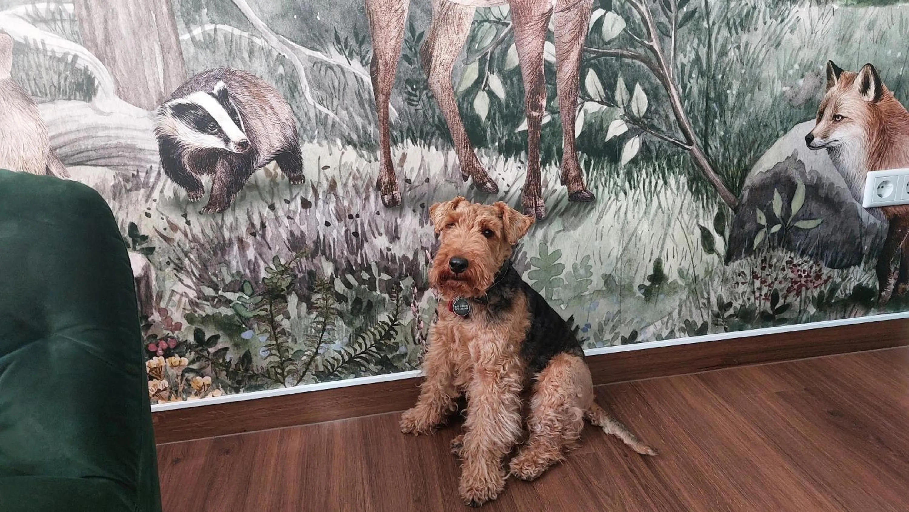 Hotel & Café KleinerGrünauer