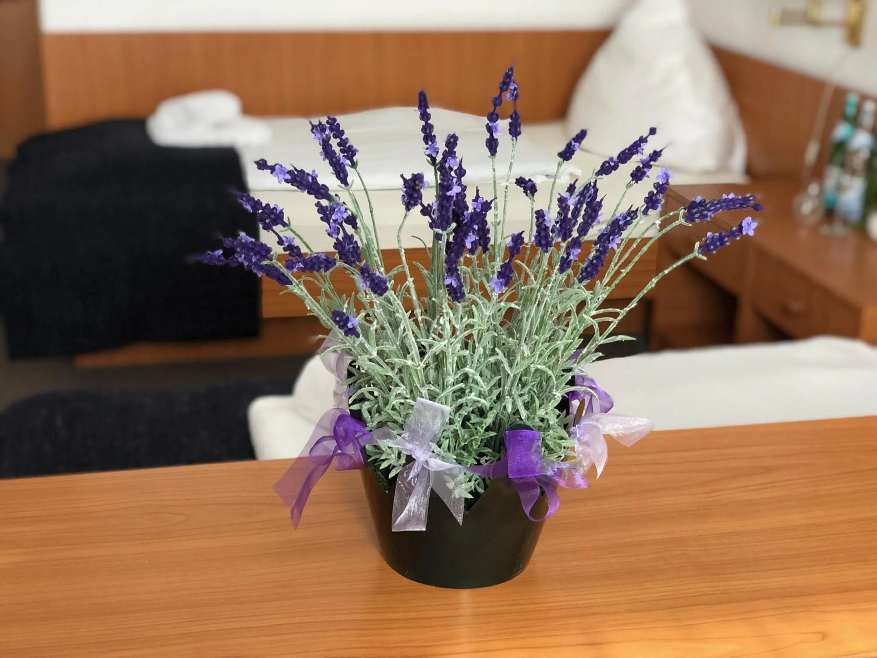 Photo of the whole room in Hotel Kaiser