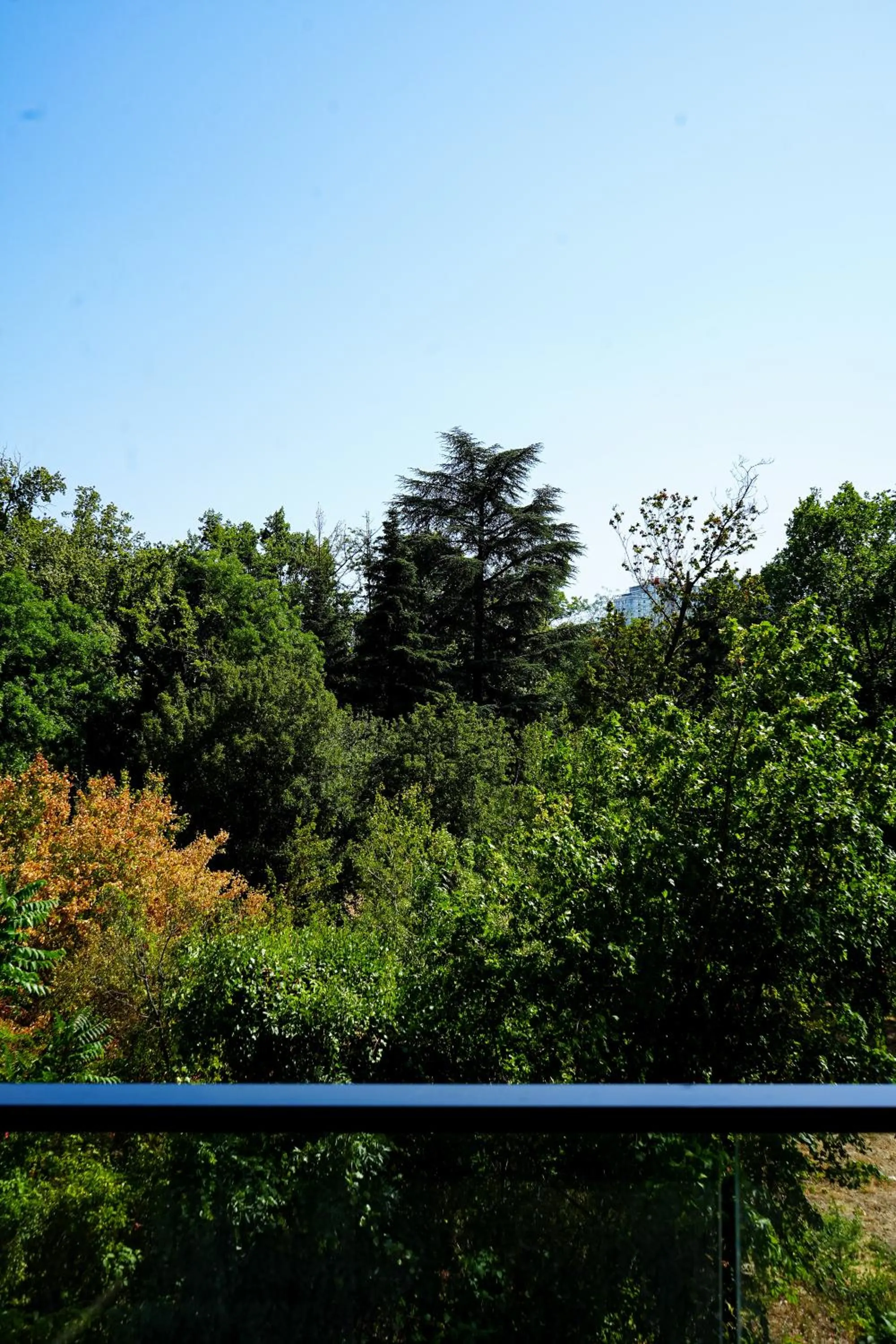 View (from property/room) in Apart hotel Greenwood near Sea