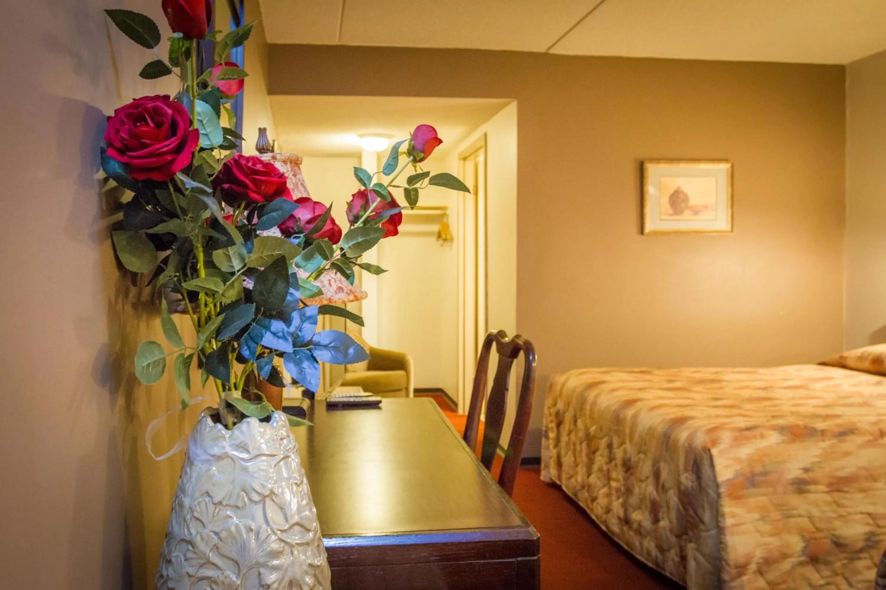 Photo of the whole room in Niagara Falls Motor Lodge