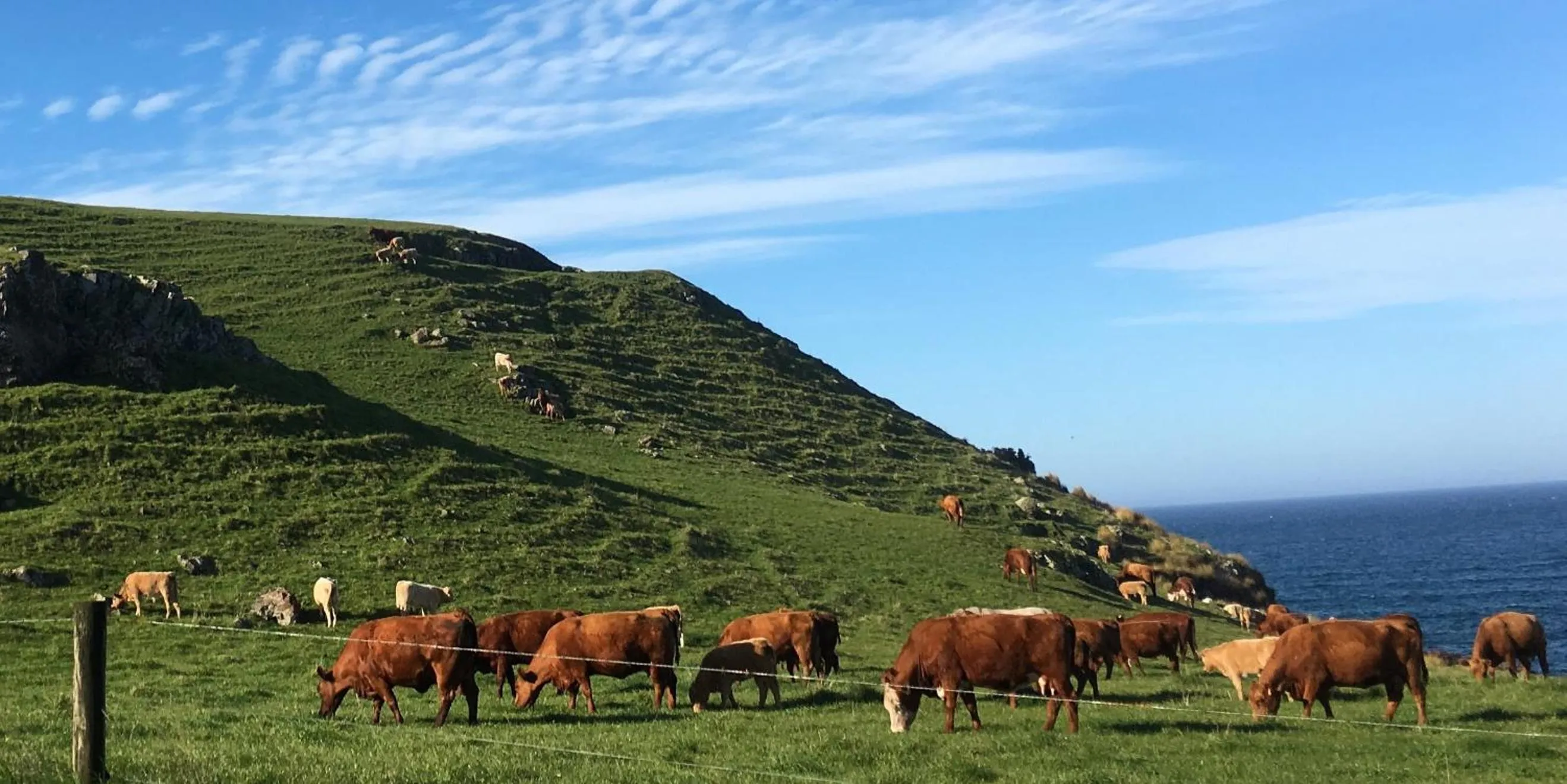 Nearby landmark in Cable Station Accommodation