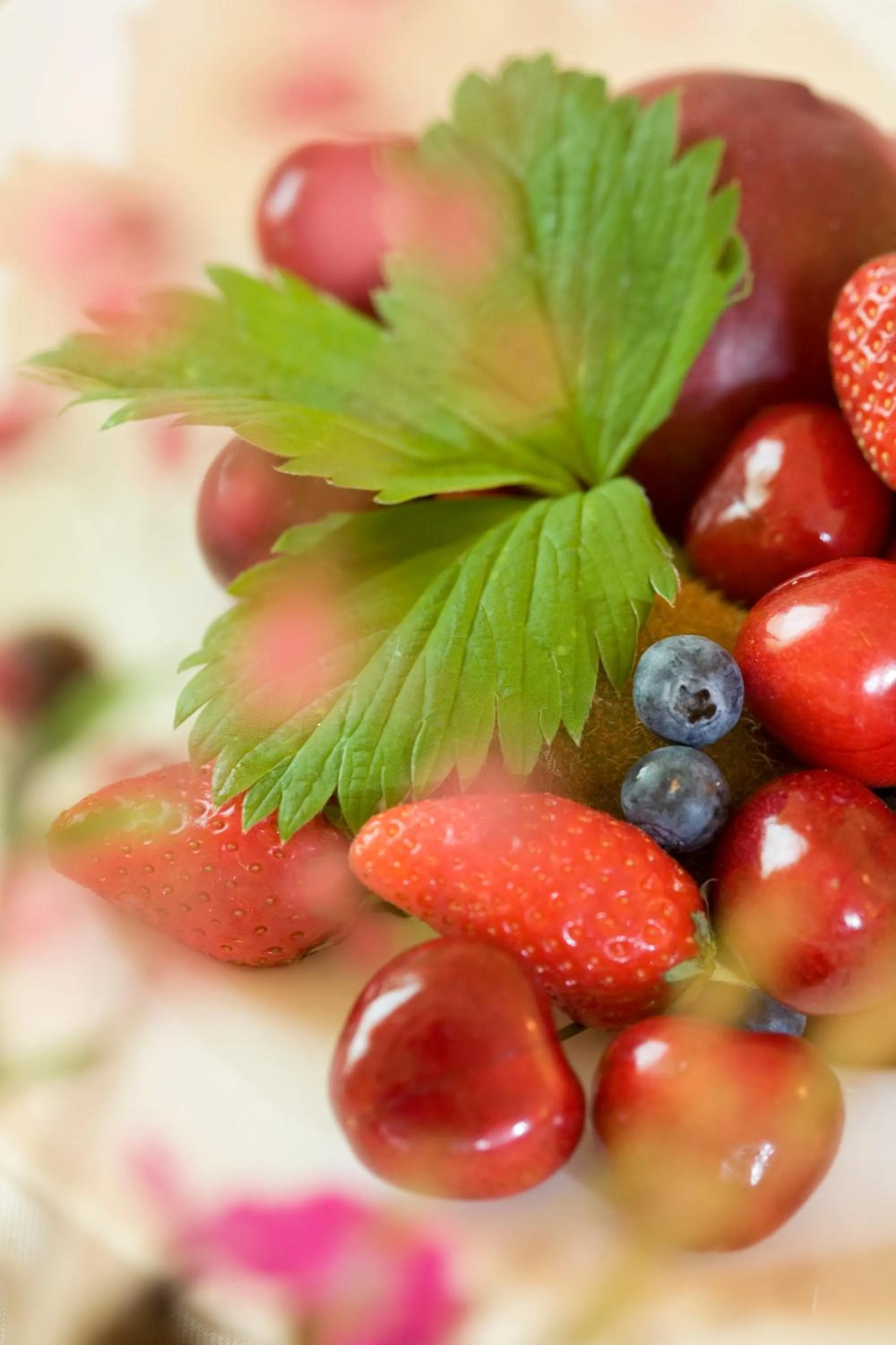 Food and drinks in Logis Hotel Spa Restaurant Le Provence