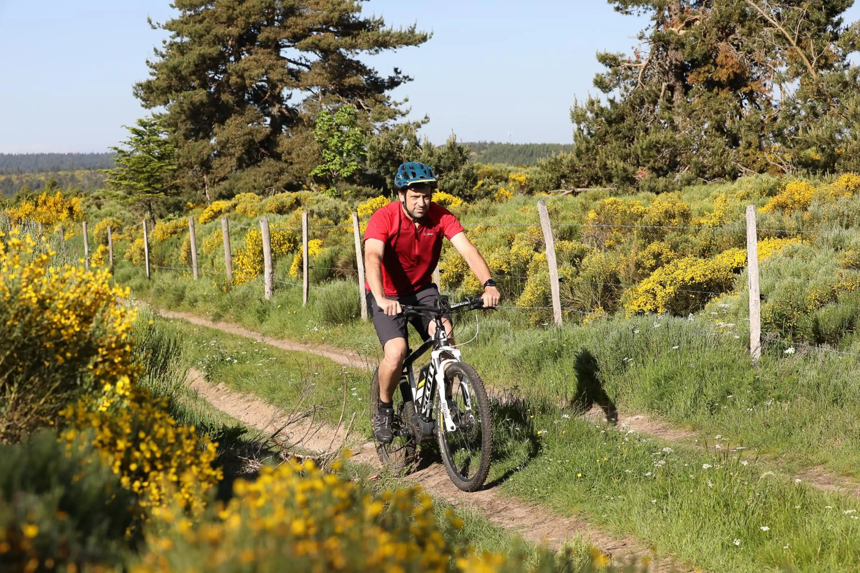 Logis Hotel Spa Restaurant Le Provence