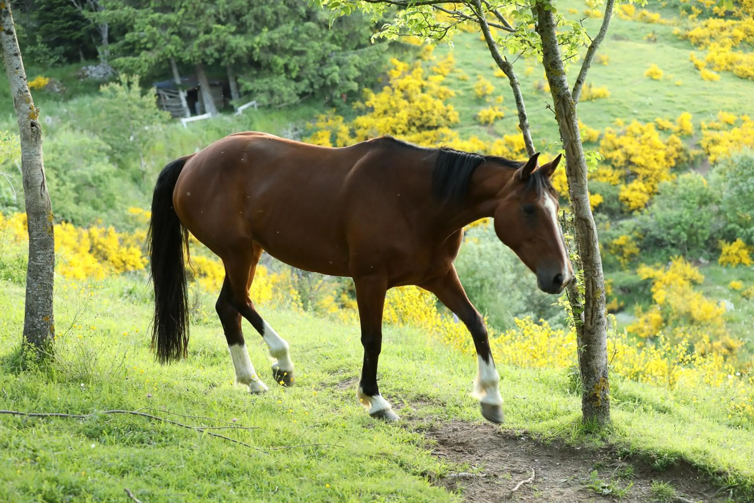 Logis Hotel Spa Restaurant Le Provence
