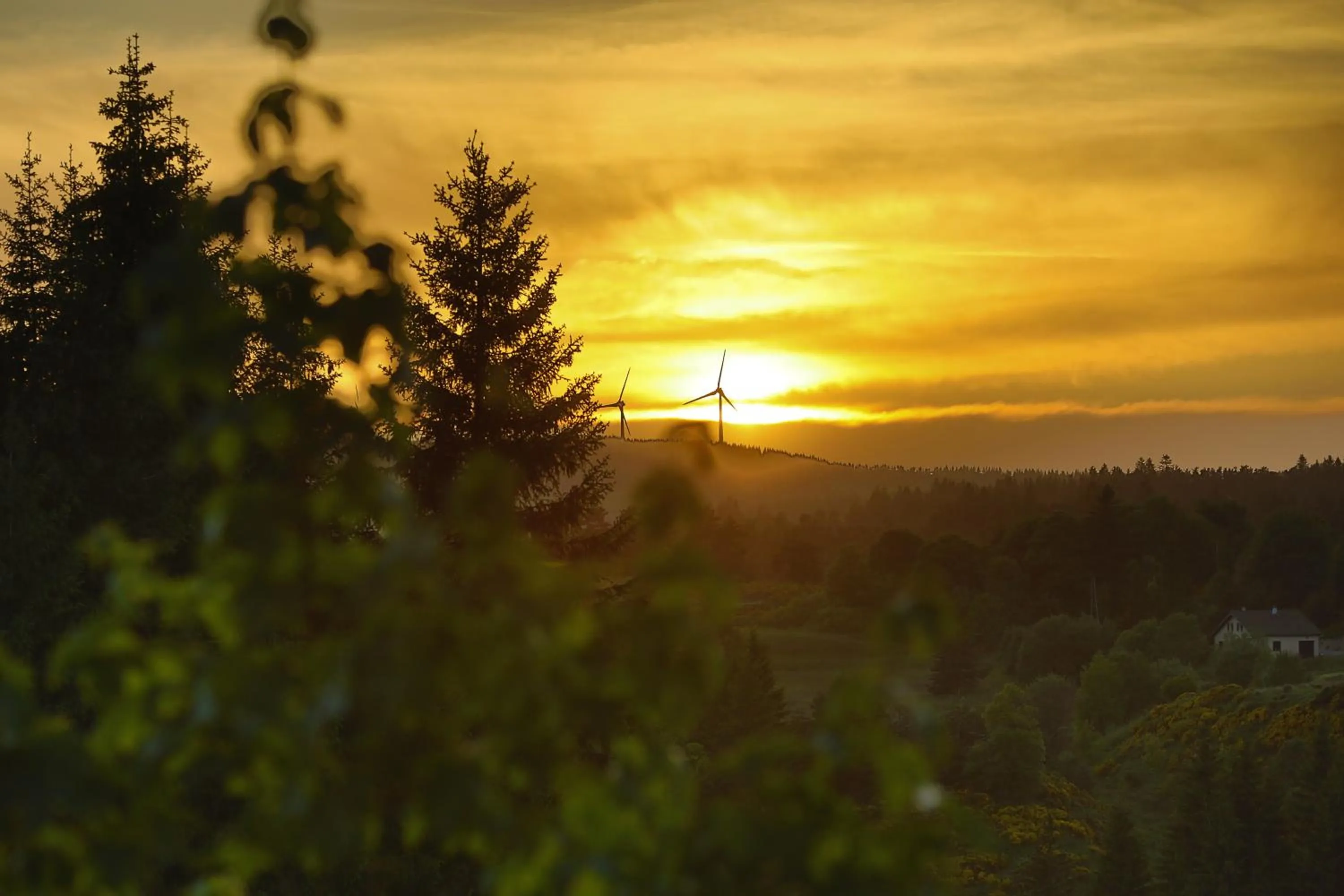 Logis Hotel Spa Restaurant Le Provence