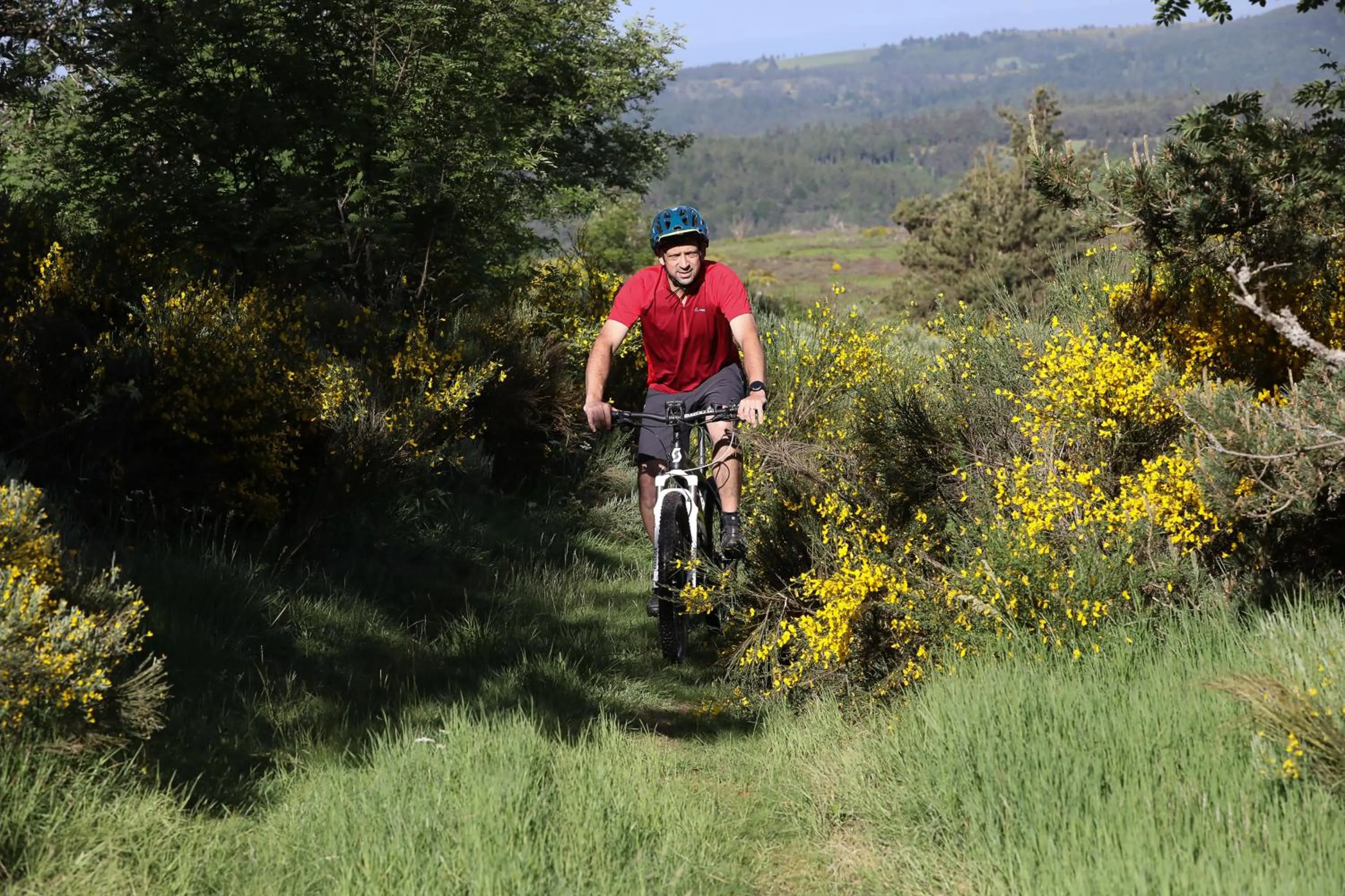 Logis Hotel Spa Restaurant Le Provence