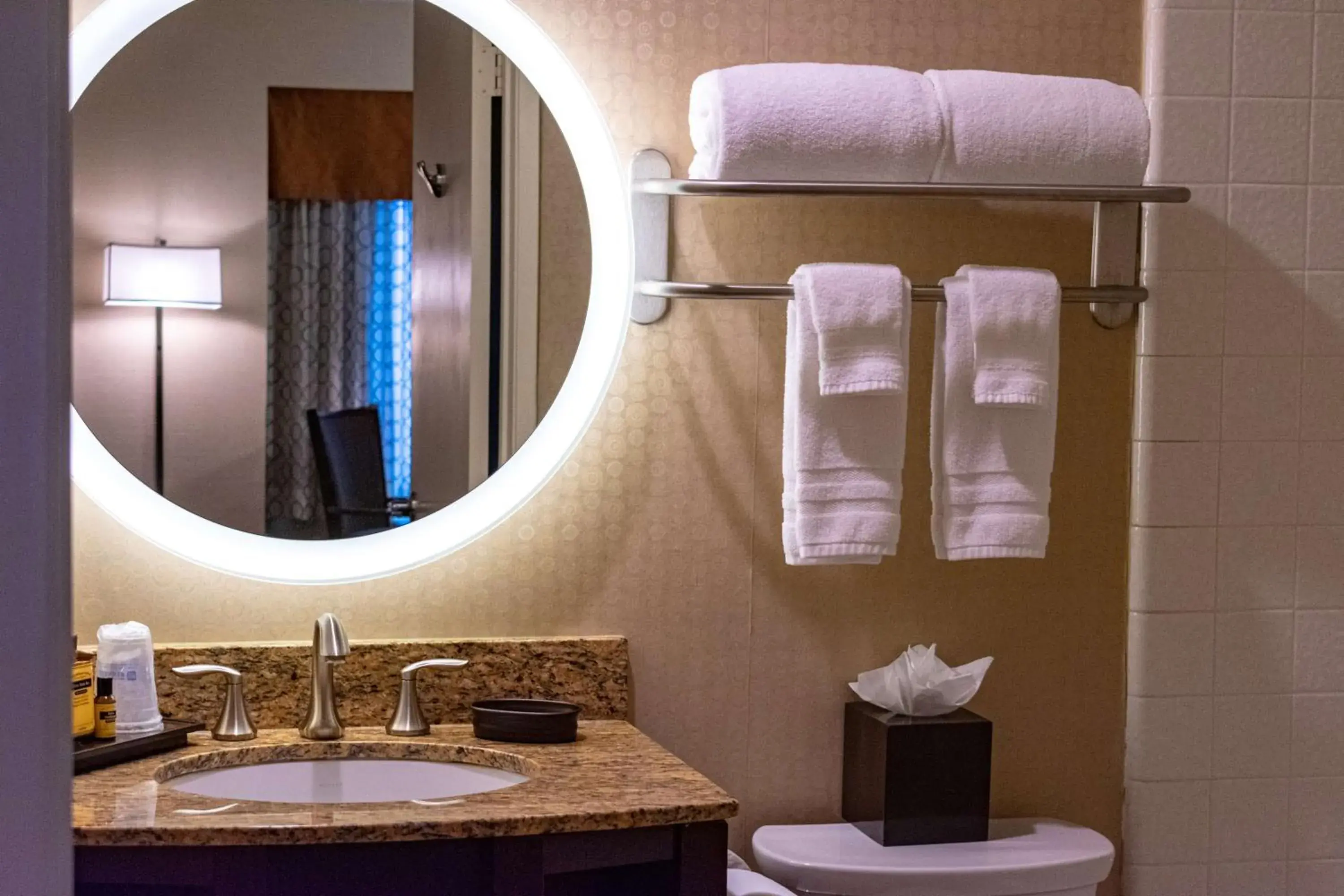 Bathroom in Best Western Plus Suites Hotel Coronado Island Bathroom in Best Western Plus Suites Hotel Coronado Island