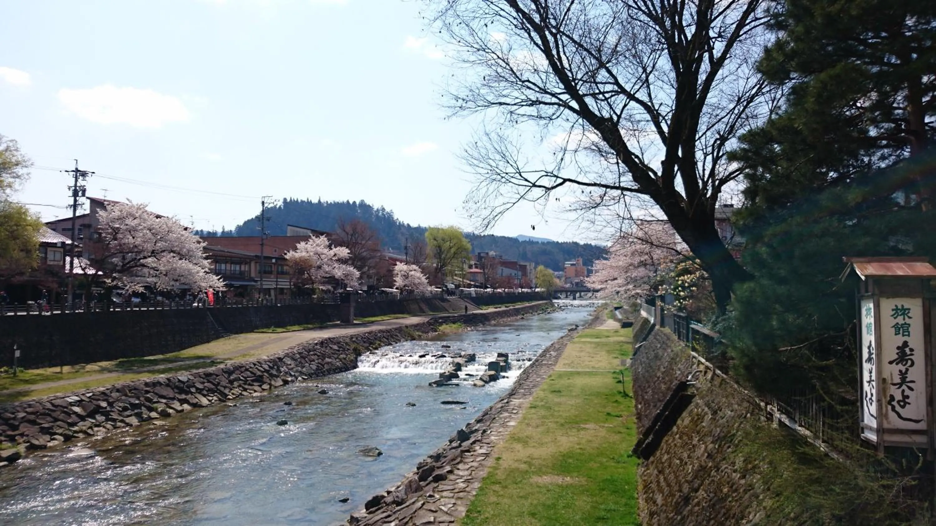 Spring in Sumiyoshi Ryokan