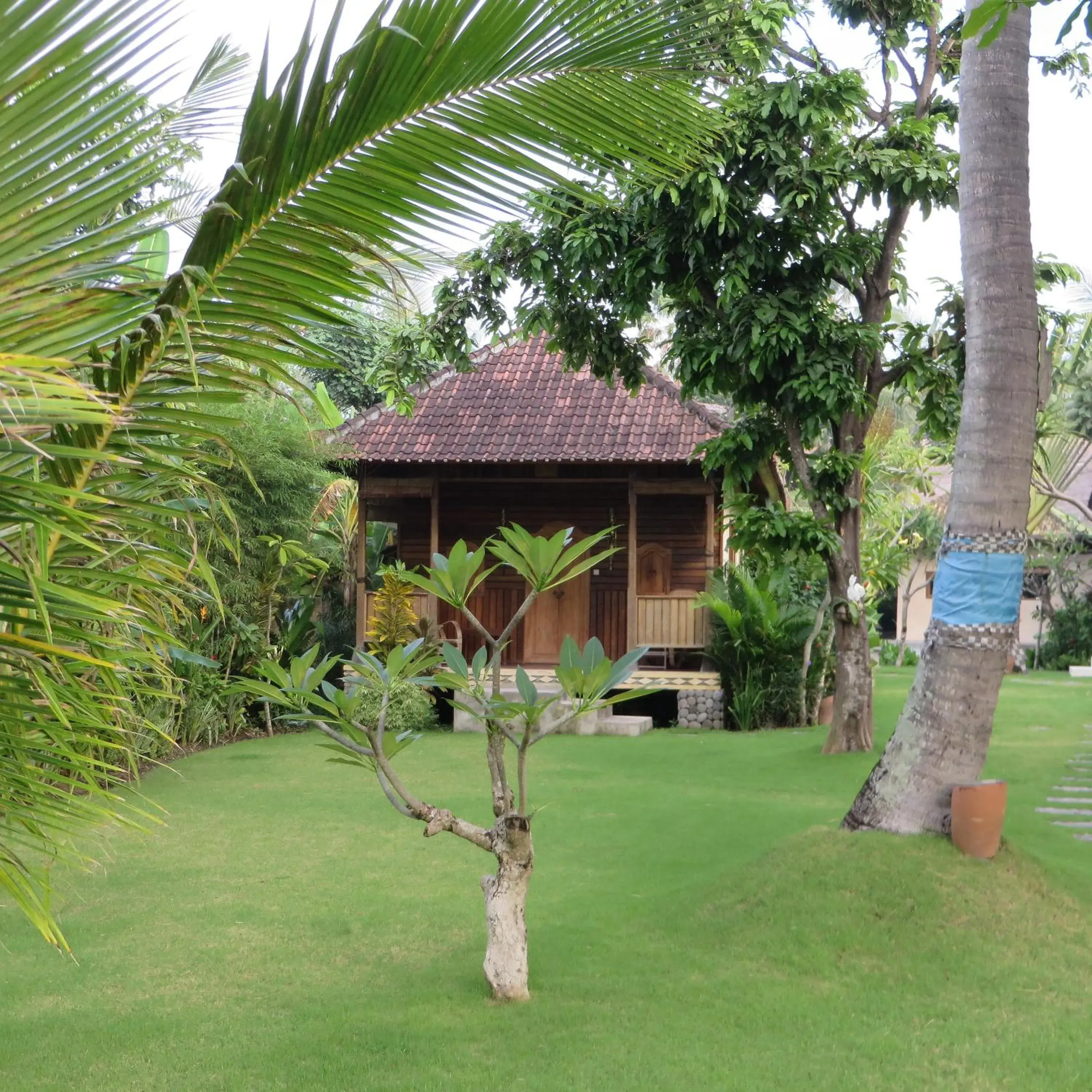 Property building in Aashaya Jasri Resort Property building in Aashaya Jasri Resort