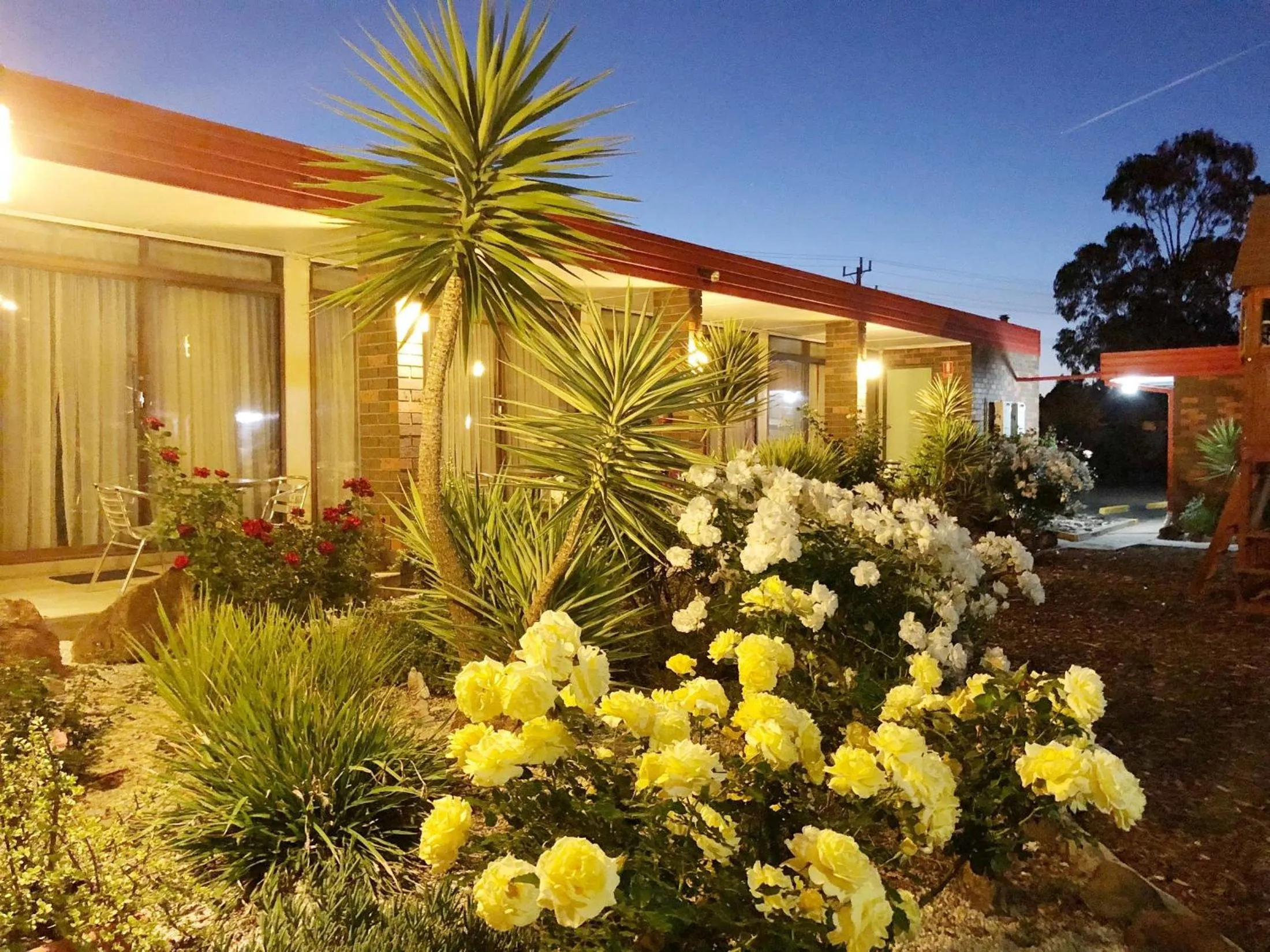 Garden in Statesman Motor Inn