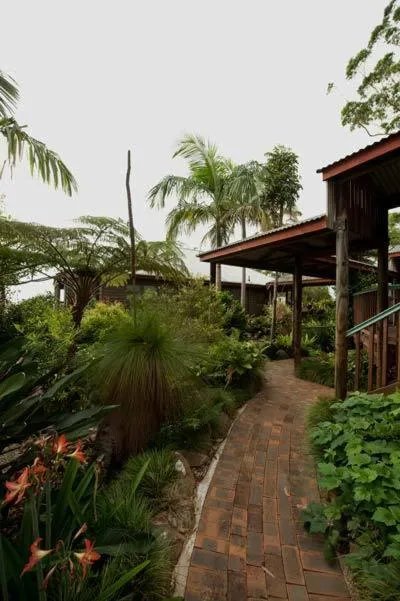 Garden in Tamborine Mountain Bed and Breakfast