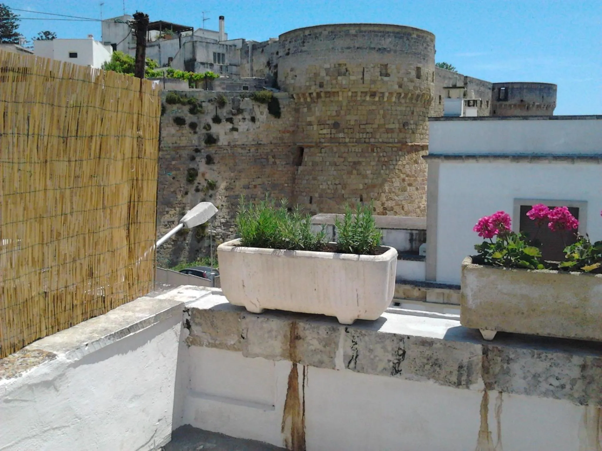 View (from property/room) in Mediterraneo Camere