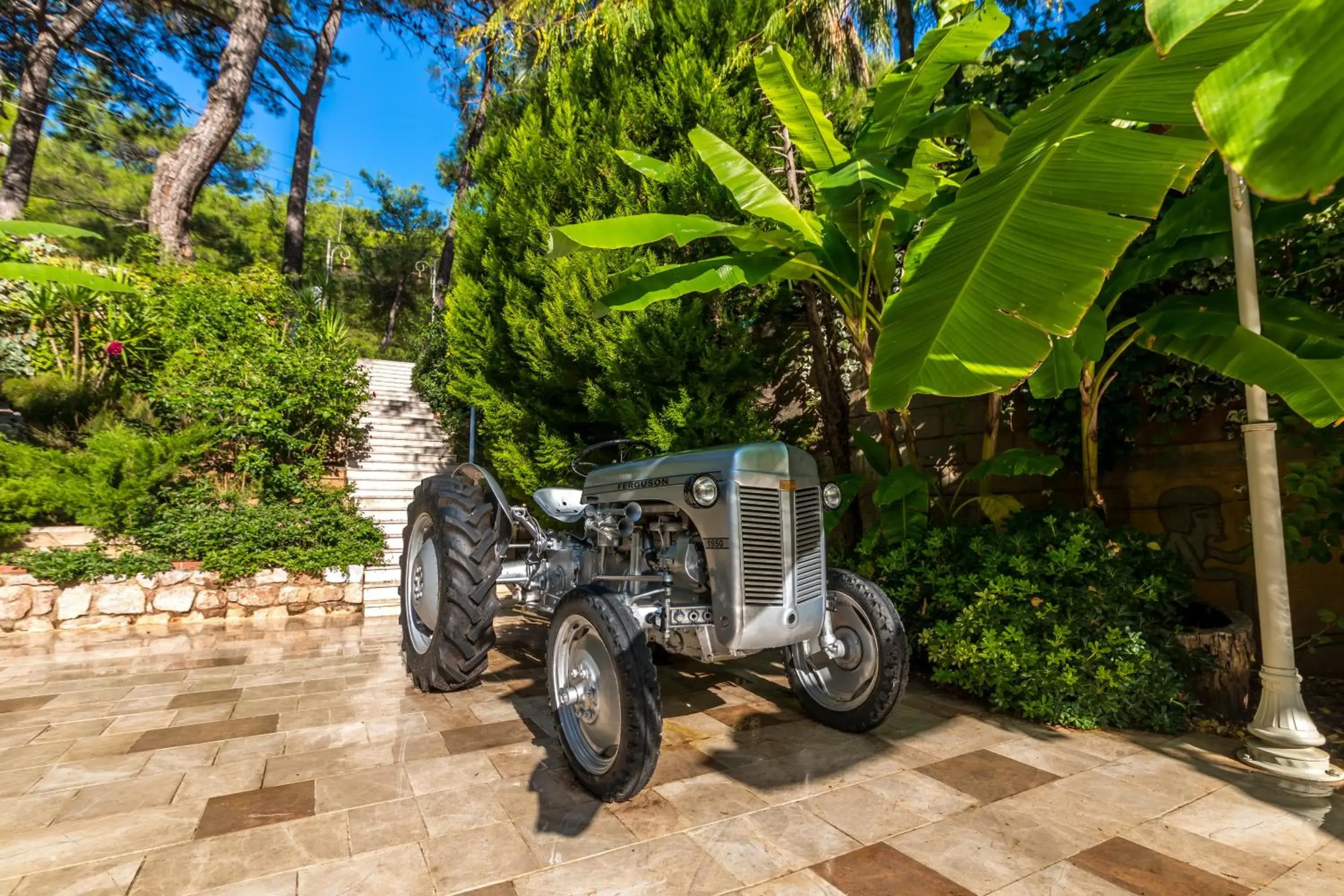 Facade/entrance in Petunya Konak Boutique Hotel Facade/entrance in Petunya Konak Boutique Hotel
