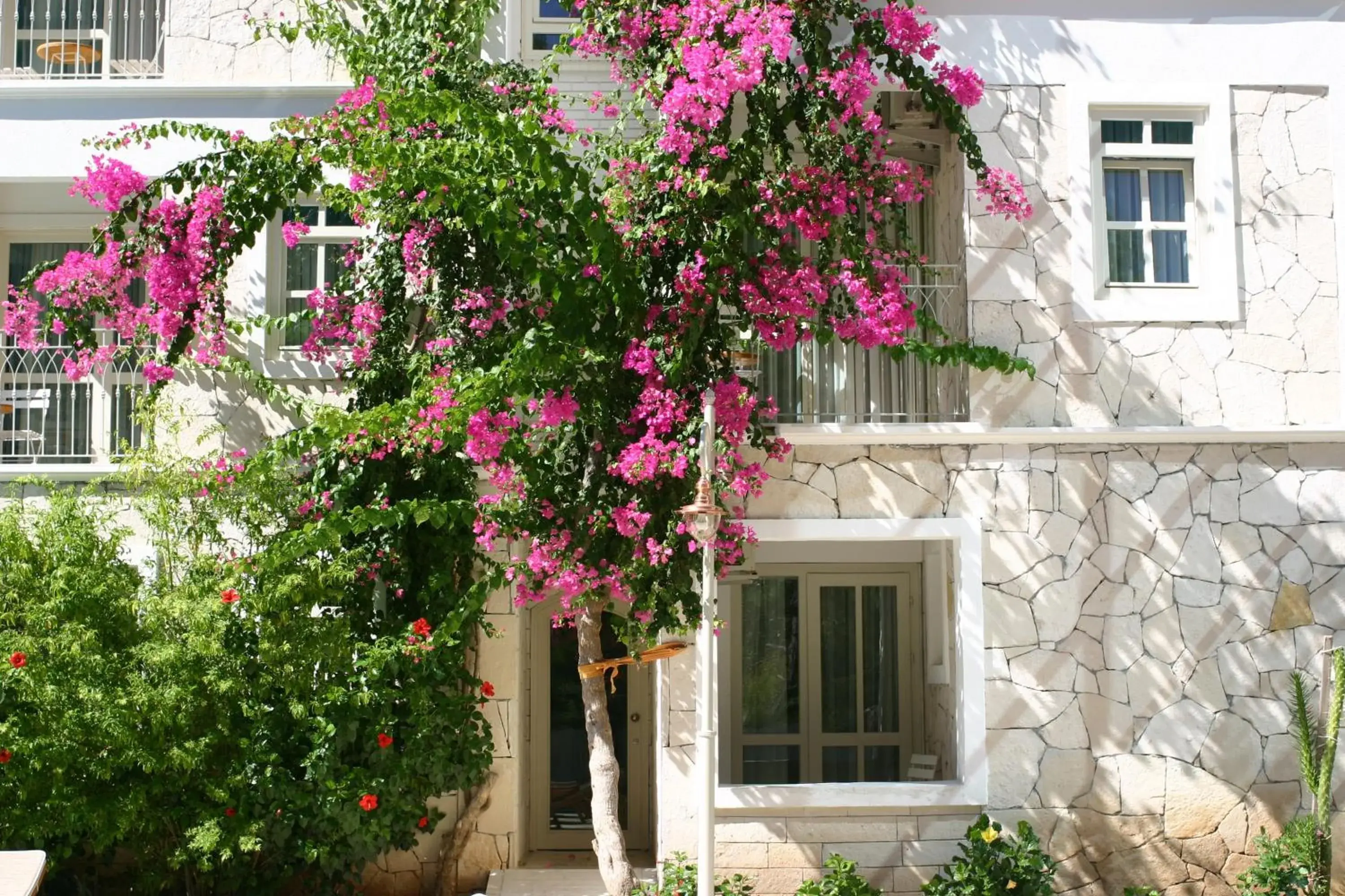 Property building in Petunya Konak Boutique Hotel Property building in Petunya Konak Boutique Hotel