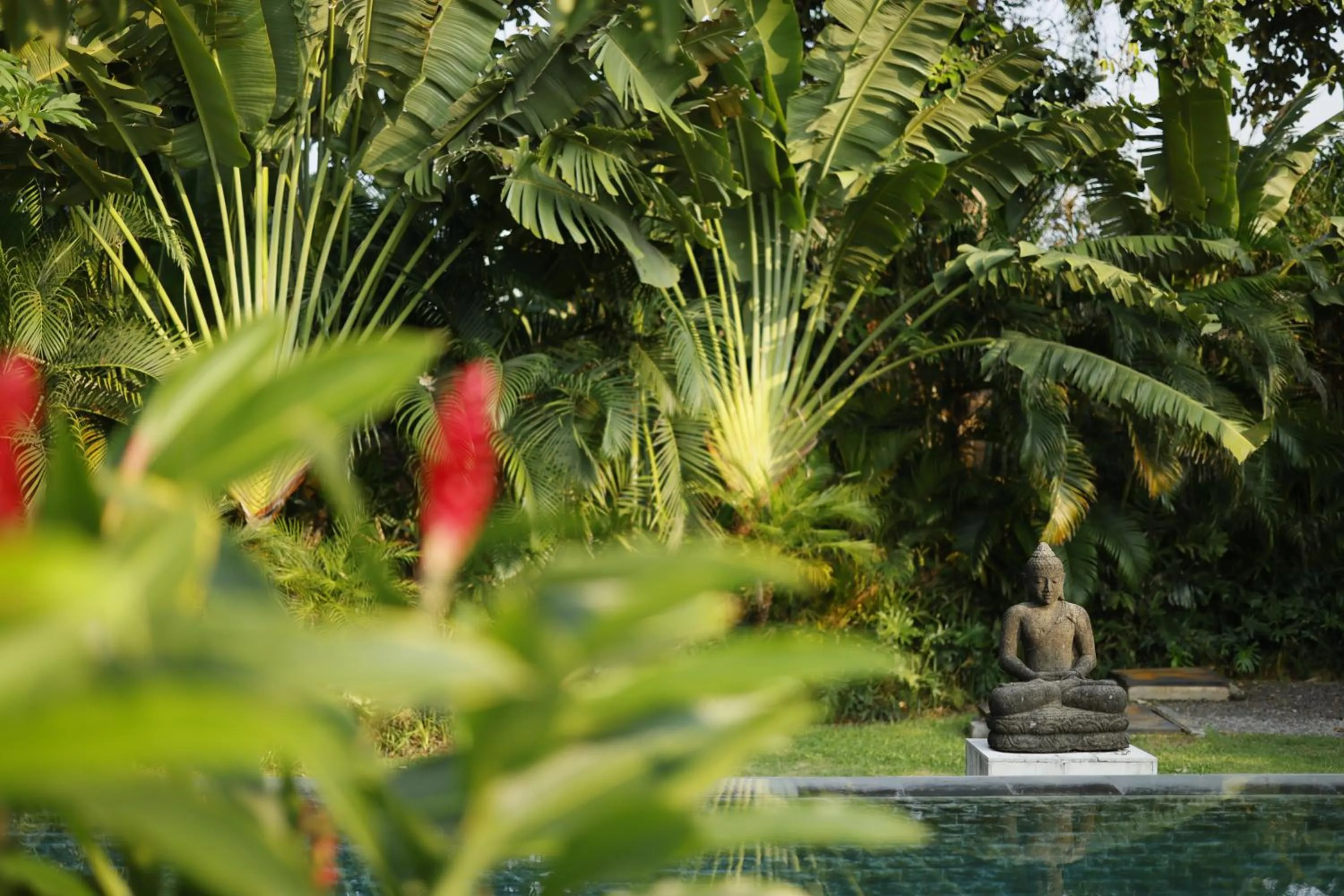 Garden in Villa Nelayan by Nakula