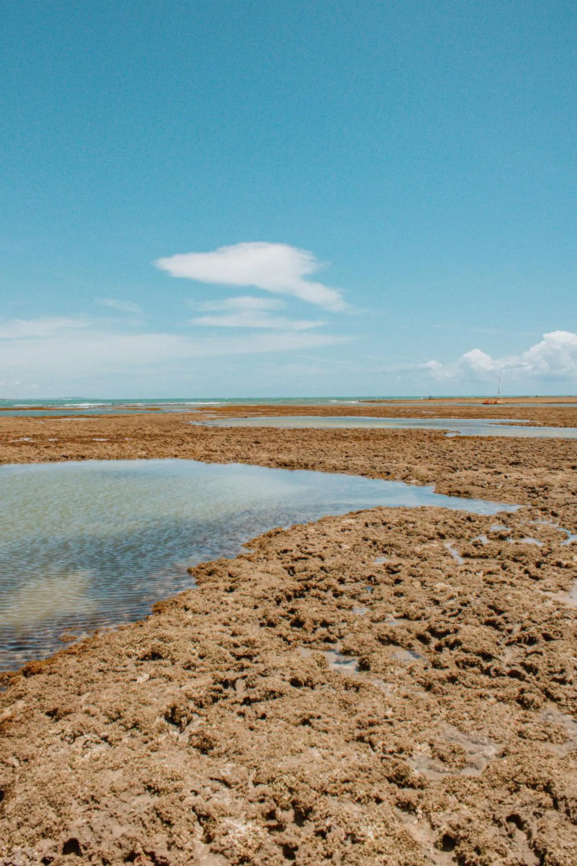 Natural landscape in Pousada Un Paso del Mar
