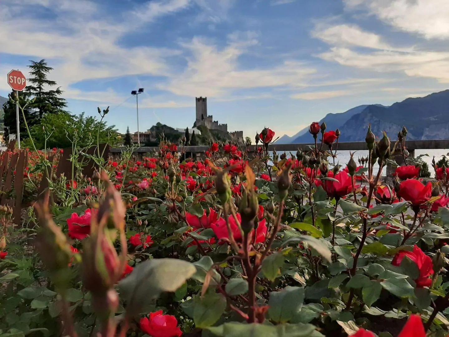Natural landscape in Gardesana Active Apartments