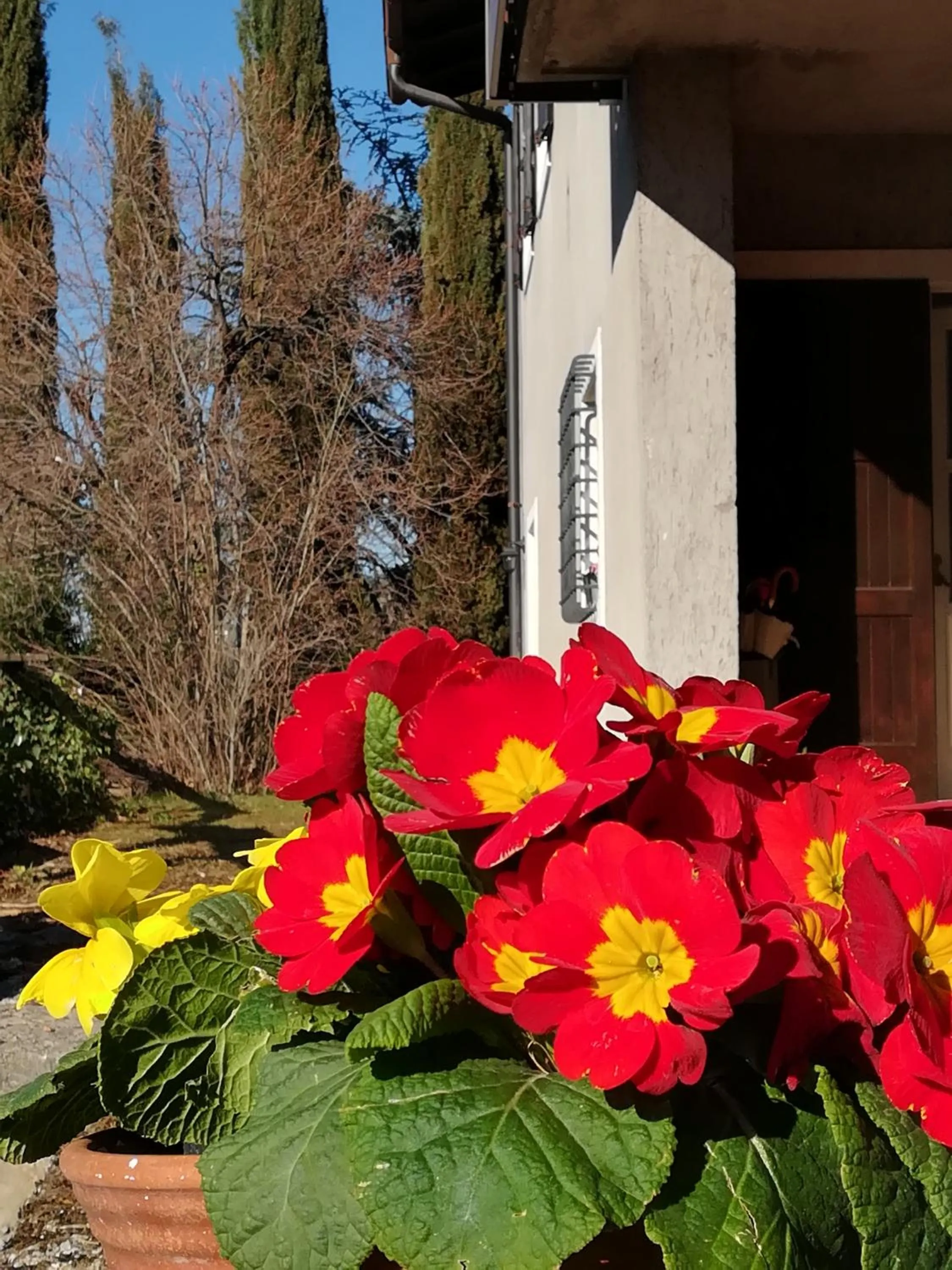 Facade/entrance in DOLCE DORMIRE