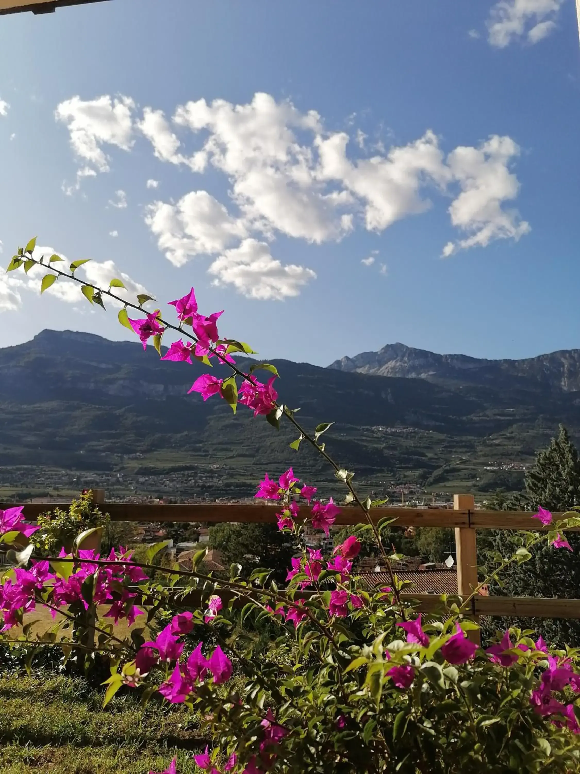 DOLCE DORMIRE DOLCE DORMIRE