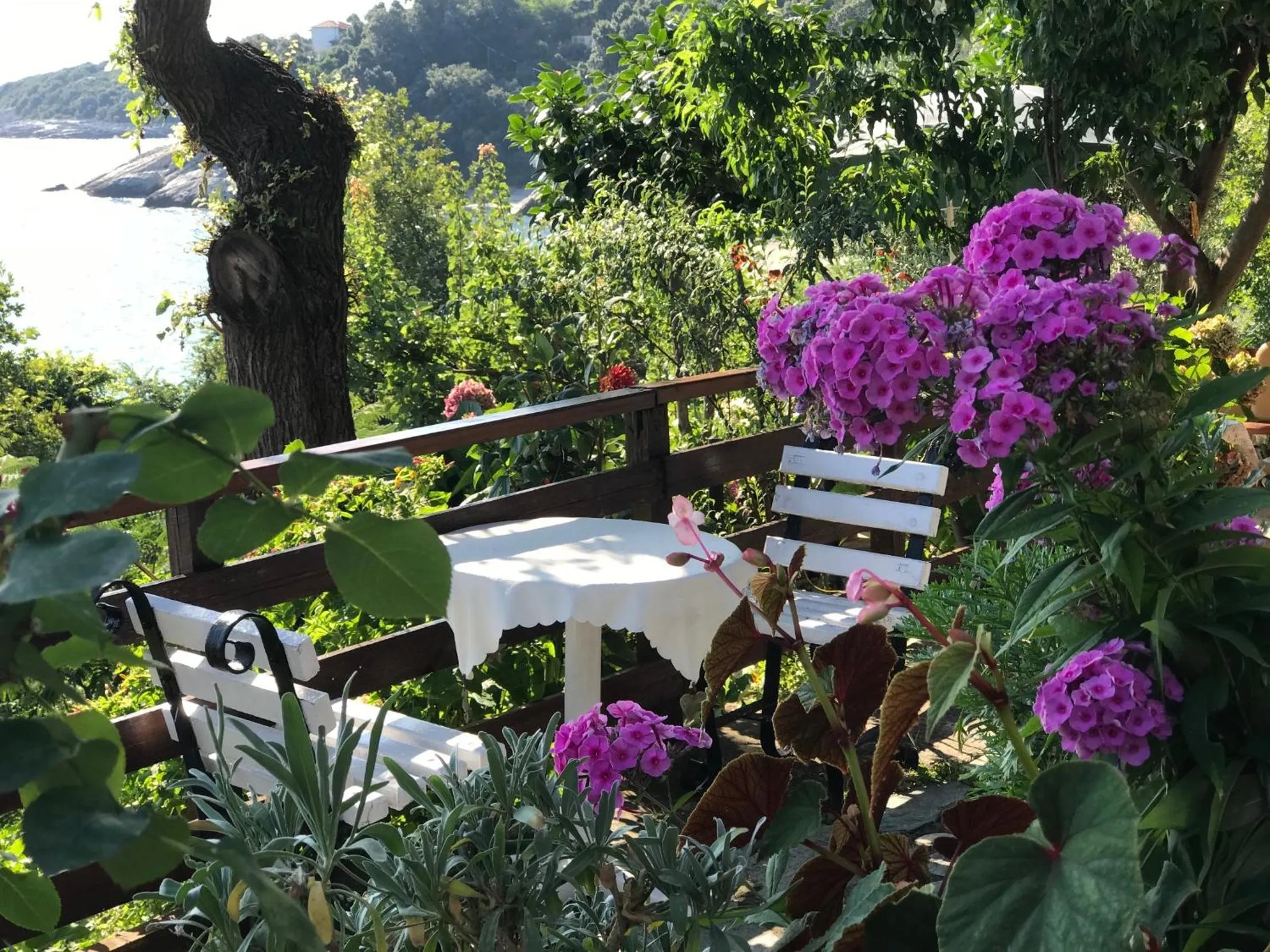 Patio in Appartments Zoe