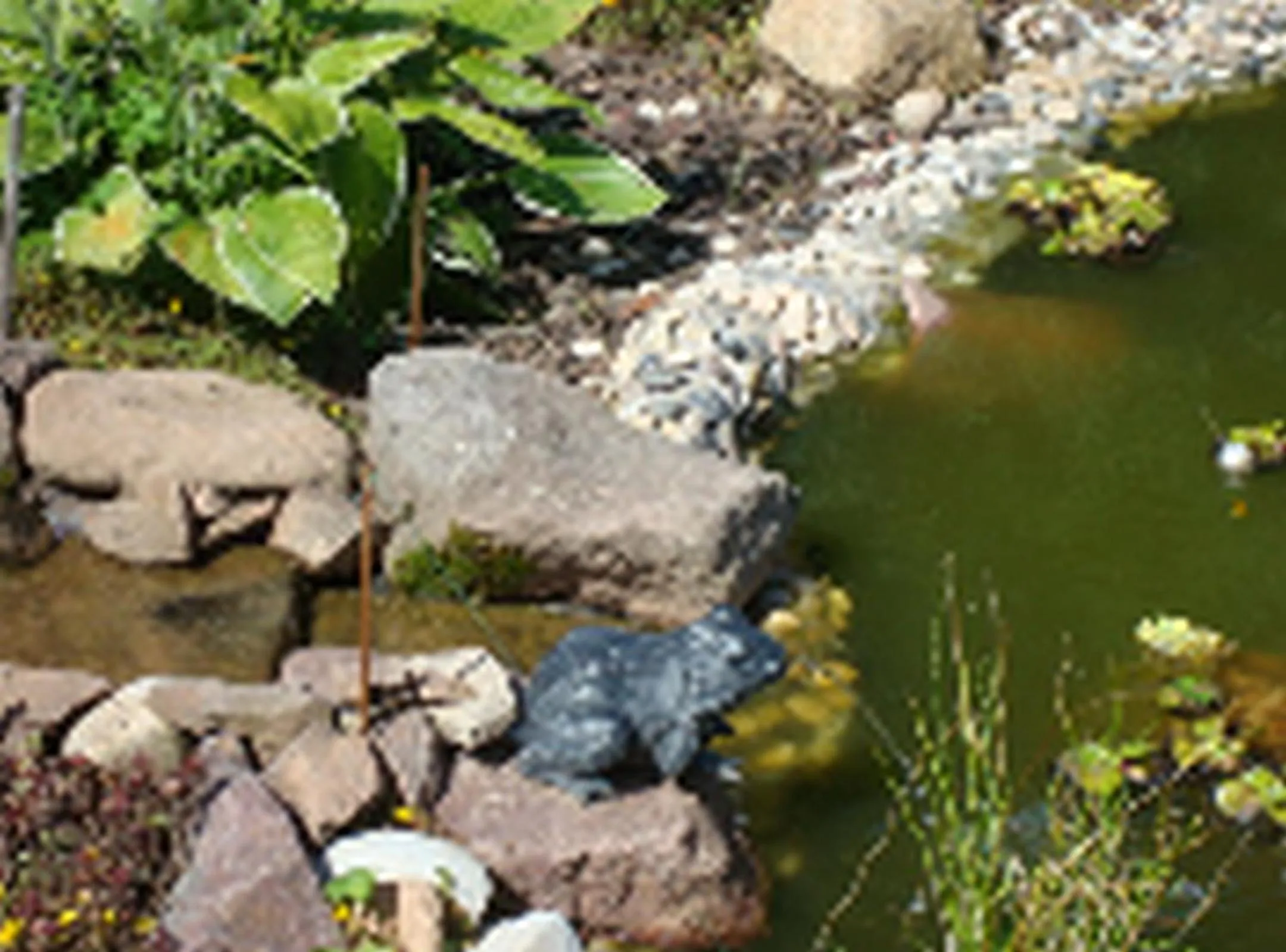 Garden view in Le Clos Pré