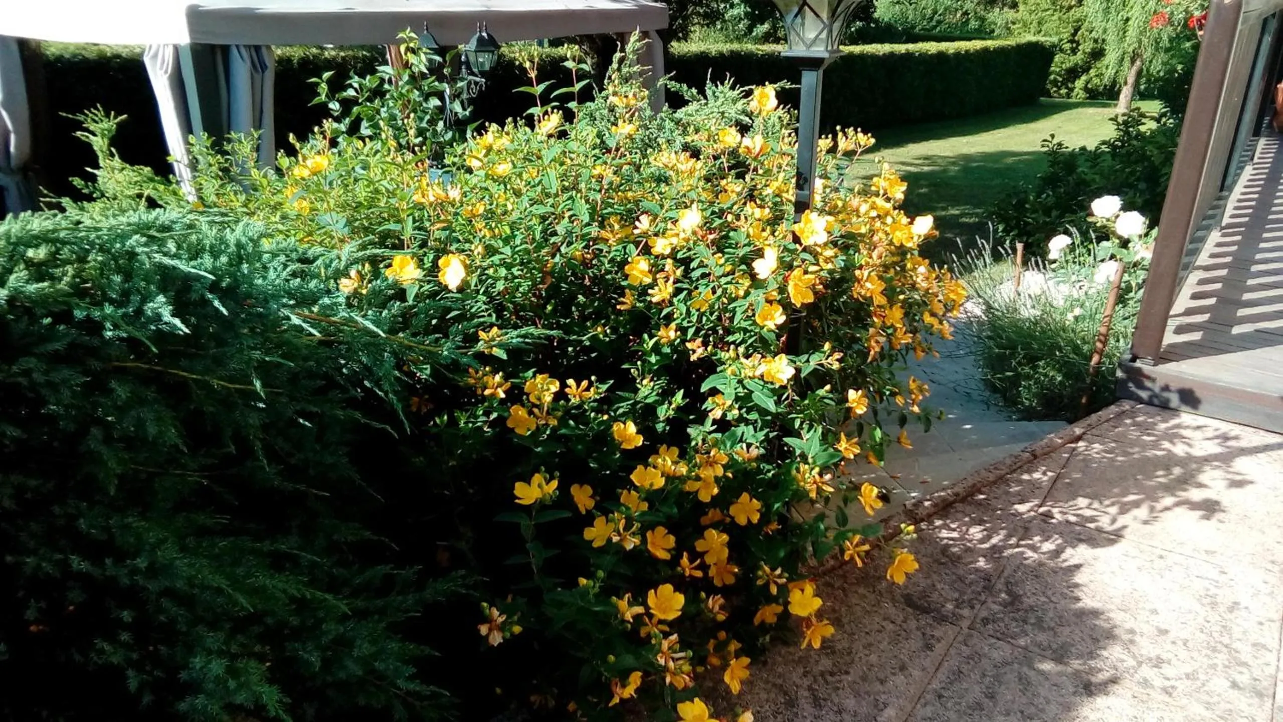 Garden in Le Clos Pré