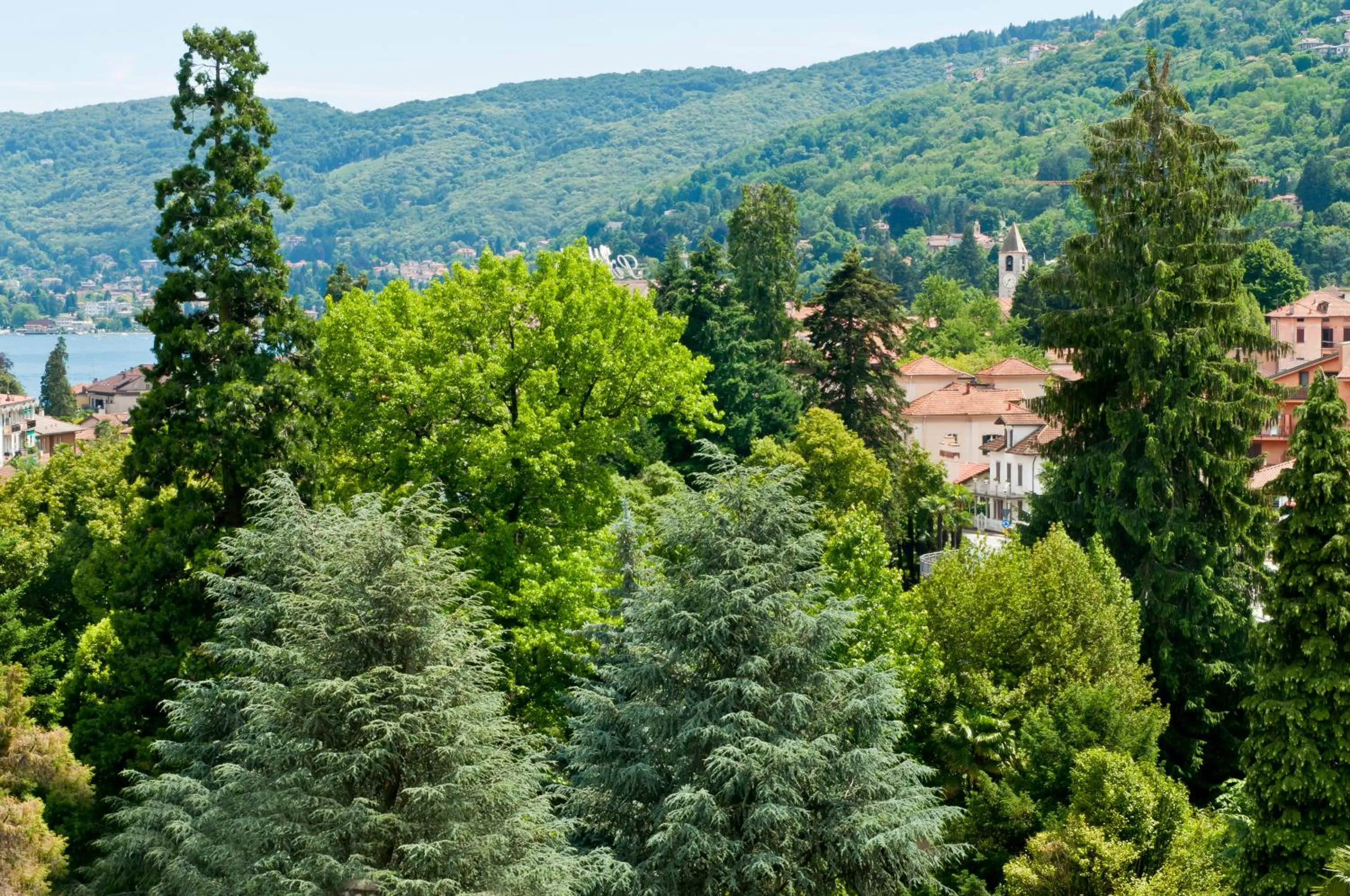 Garden view in Residence Carl&Do