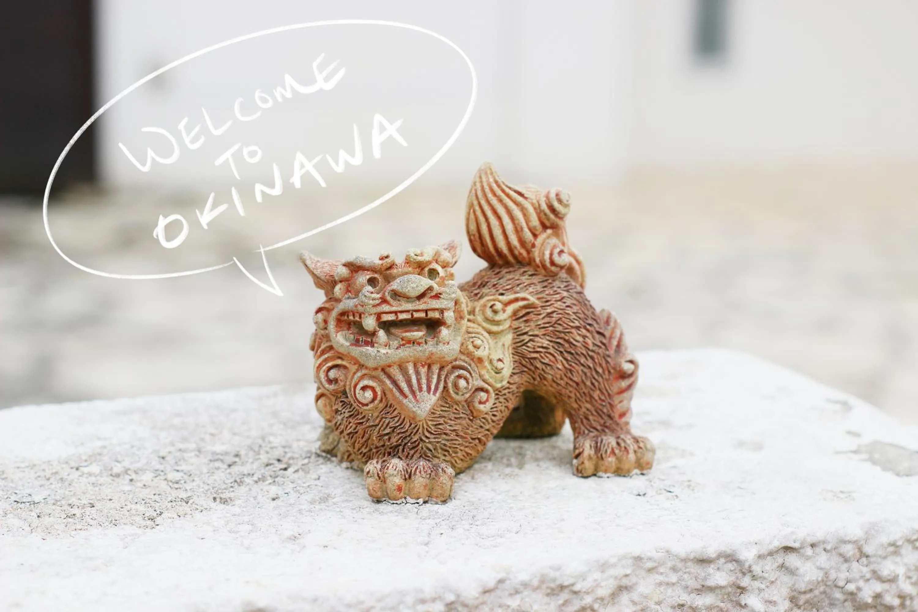 Logo/Certificate/Sign in Akizero Onnason