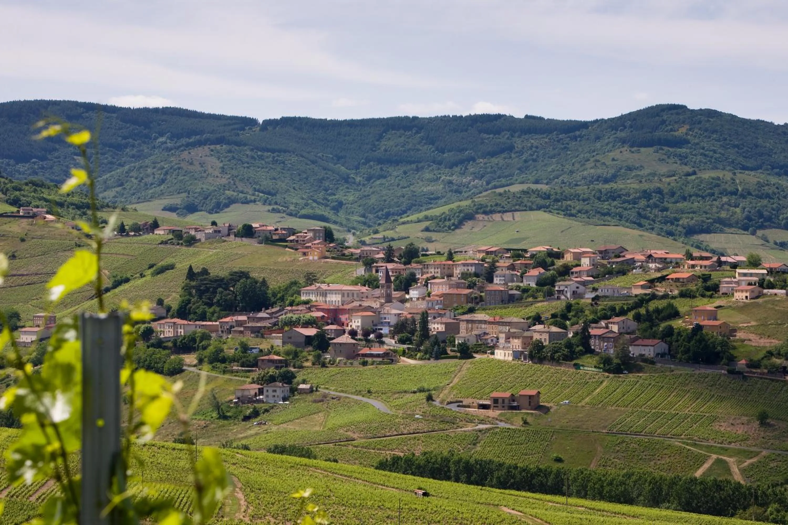 Bird's eye view in Auberge de Clochemerle - Spa & Restaurant gastronomique étoilé