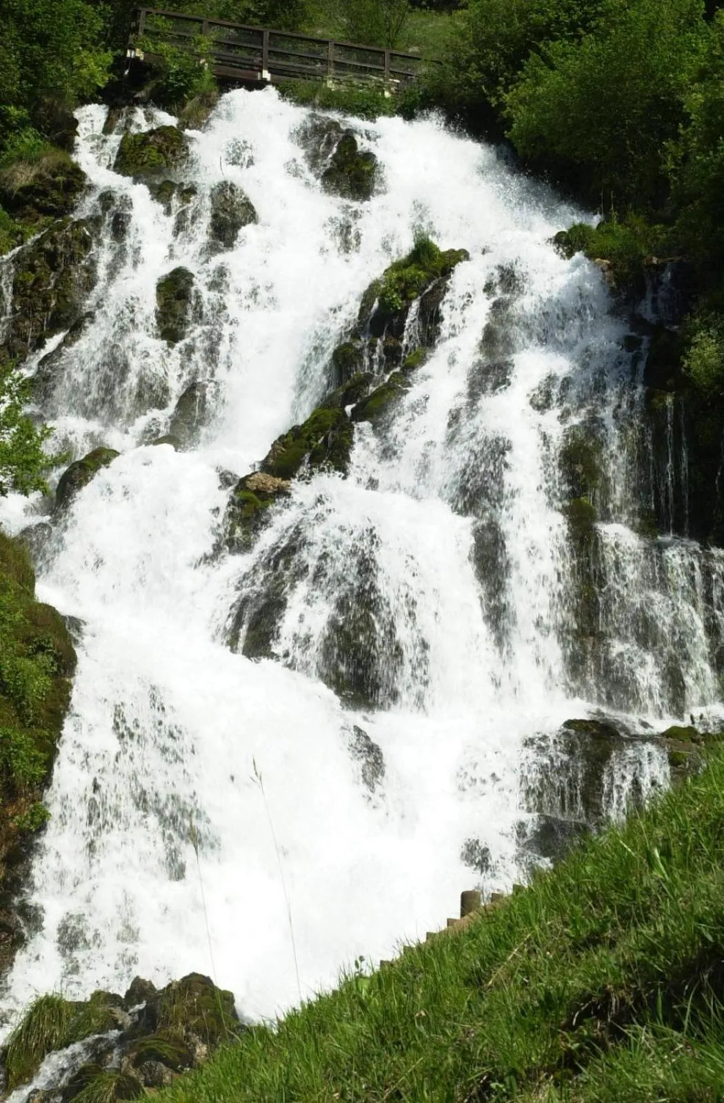 Nearby landmark in Residenza Casale