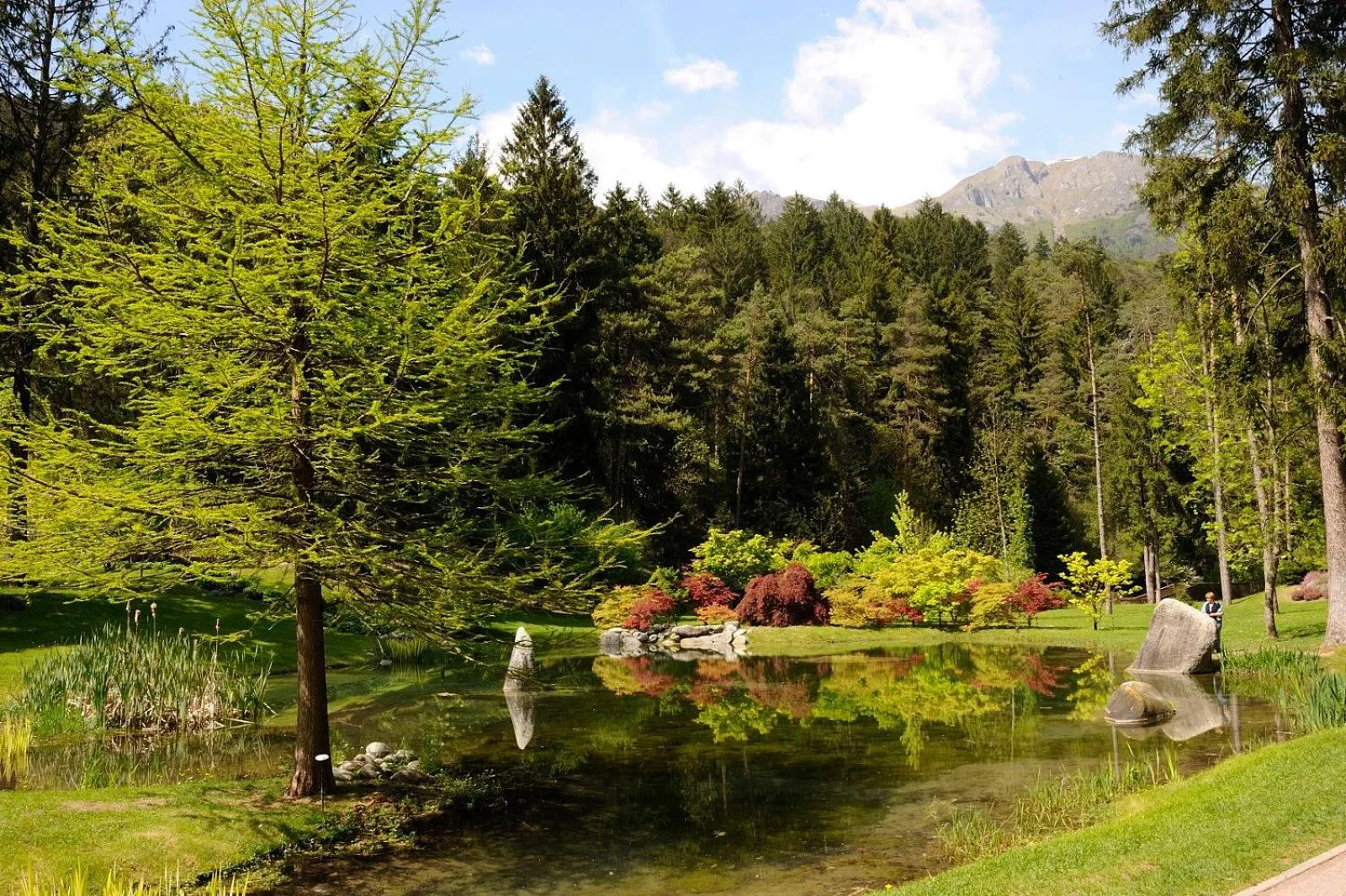 Nearby landmark in Residenza Casale