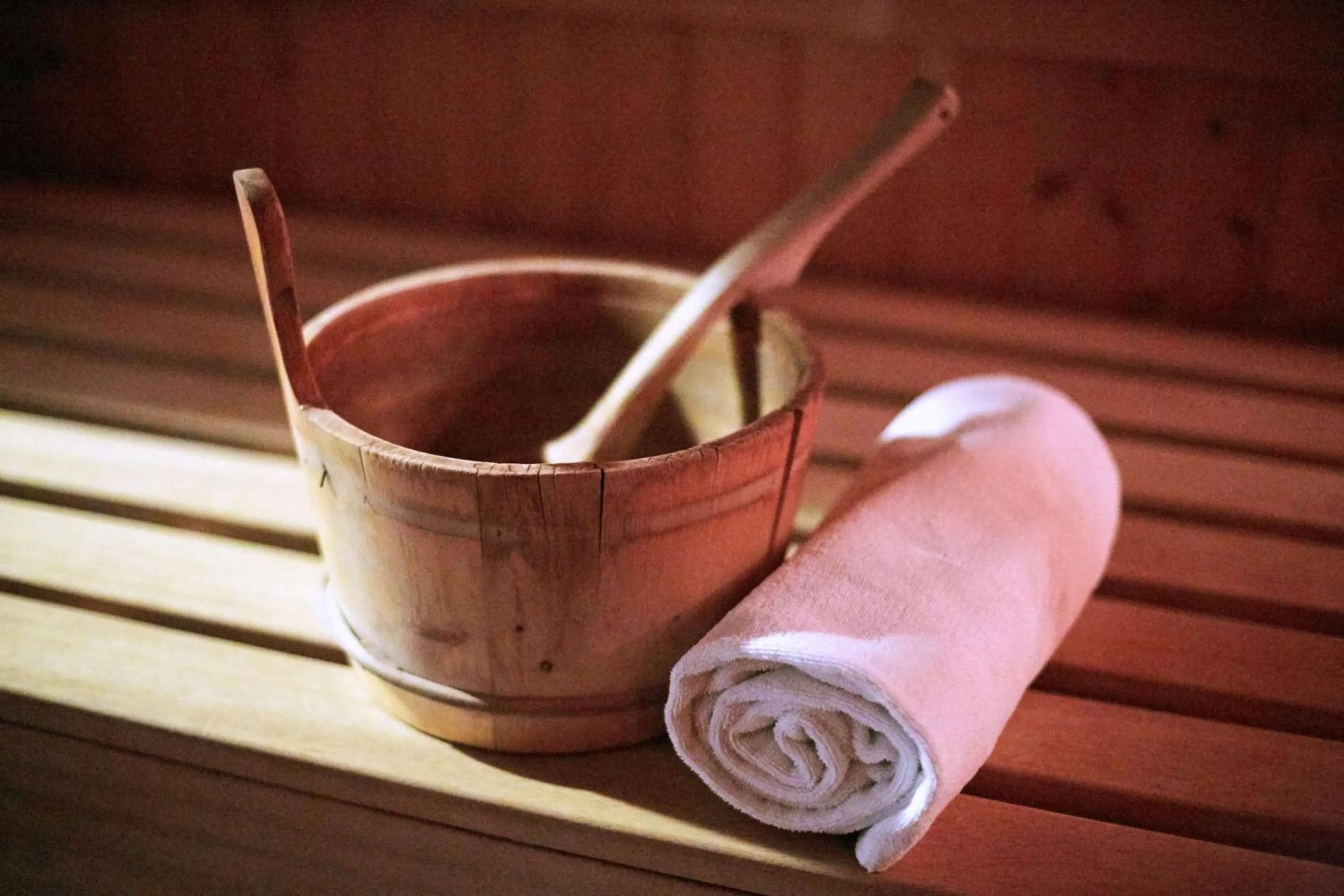 Sauna in Scandic Alta