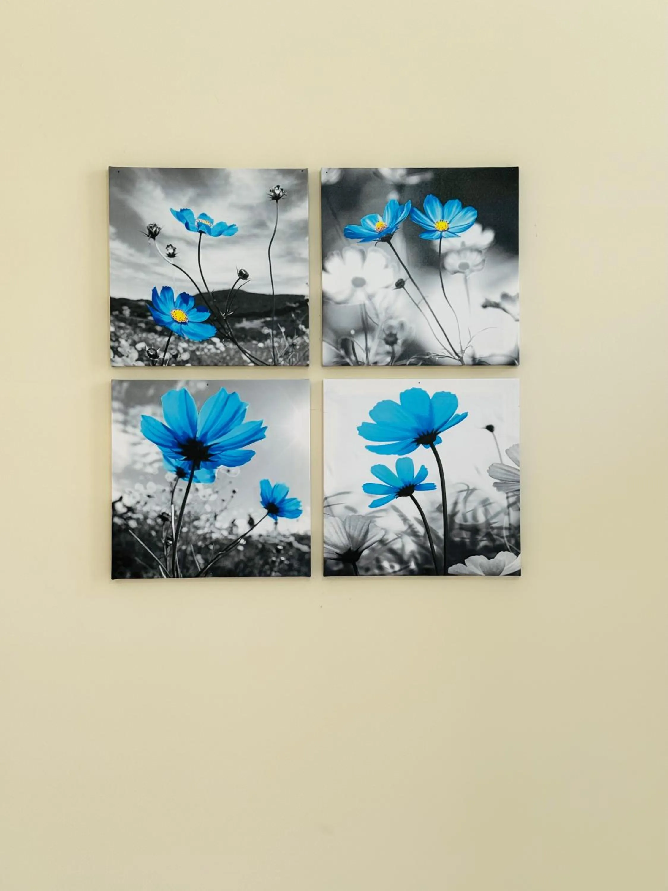 Decorative detail in B&B Rome Terminal House