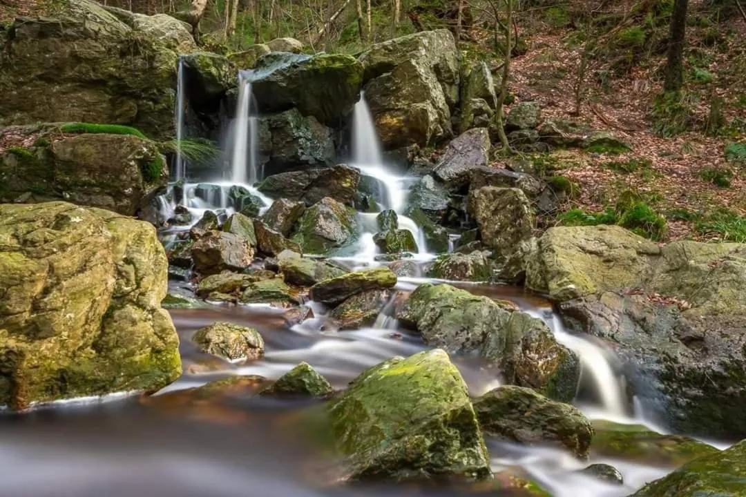 Natural landscape in A La Reid Paisible