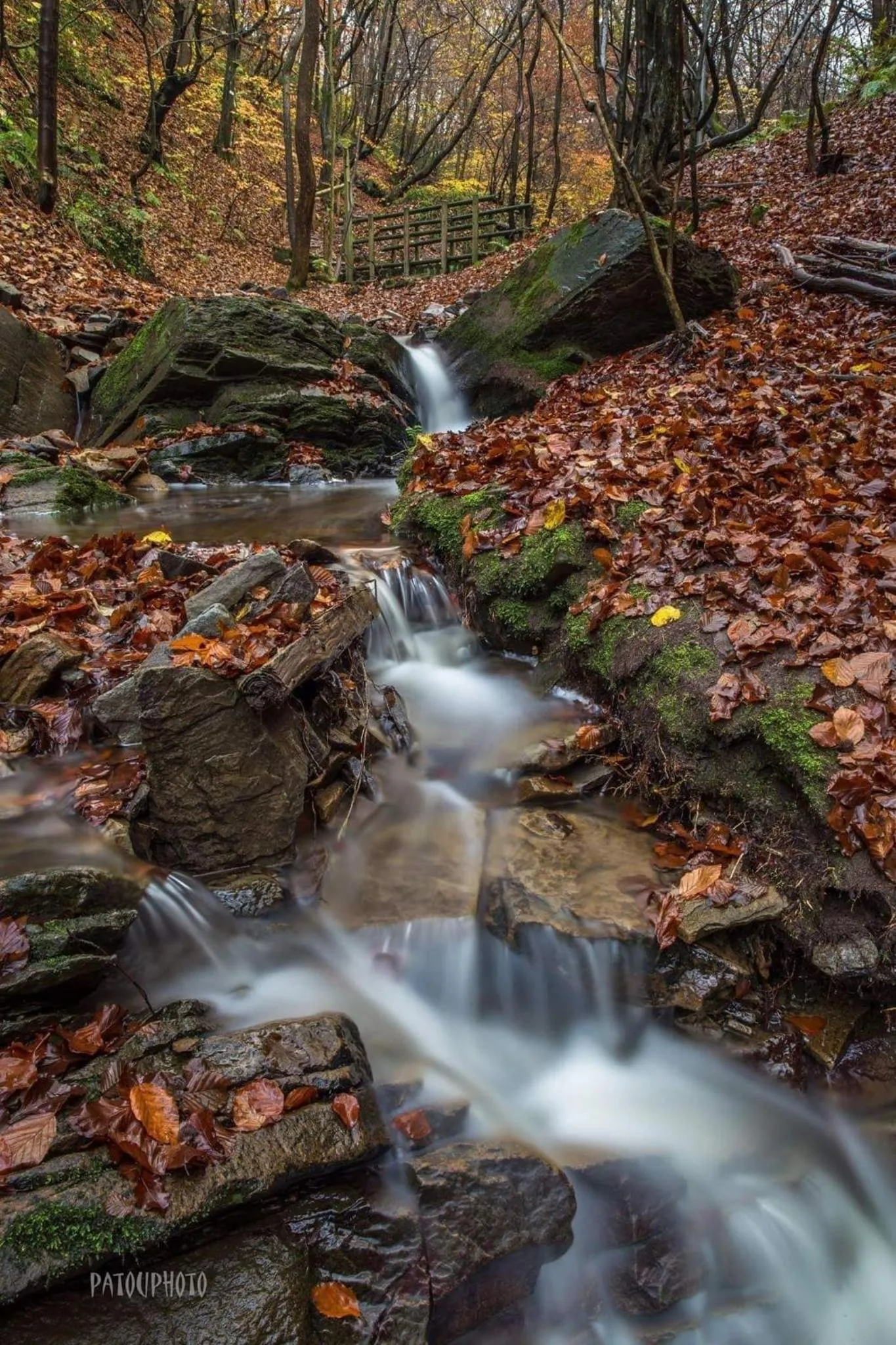 Natural landscape in A La Reid Paisible