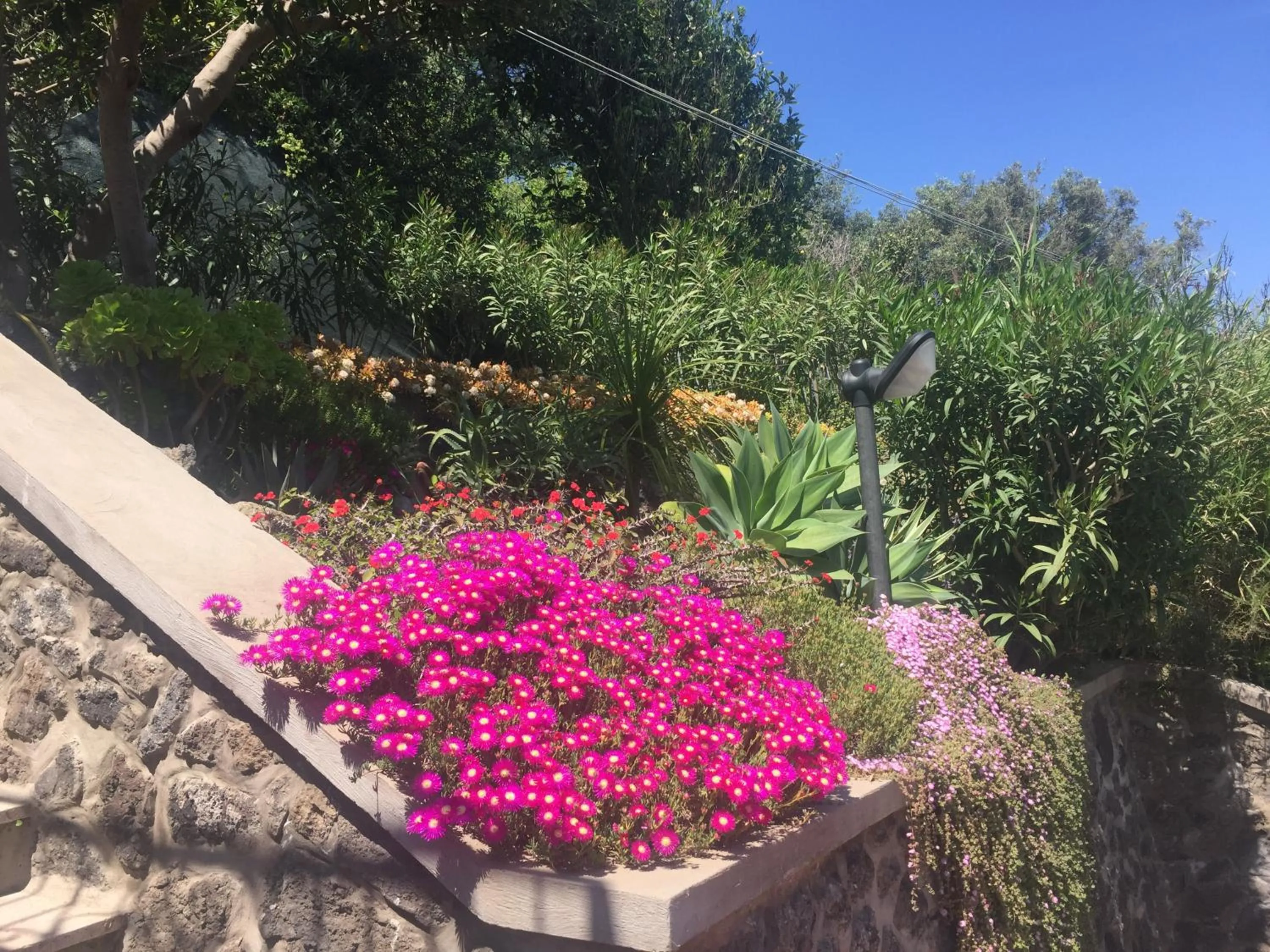 Garden in Don Felipe Boutique Hotel
