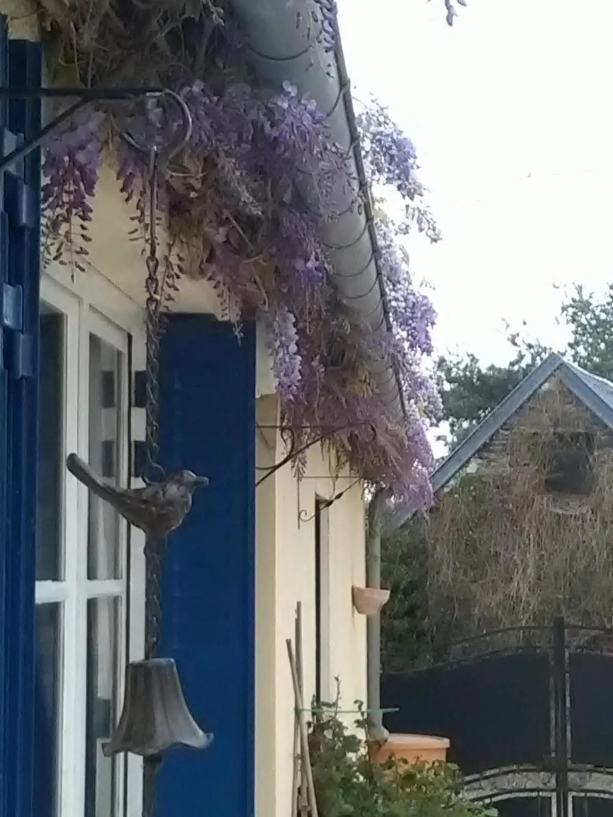 View (from property/room) in Cottage Les Glycines