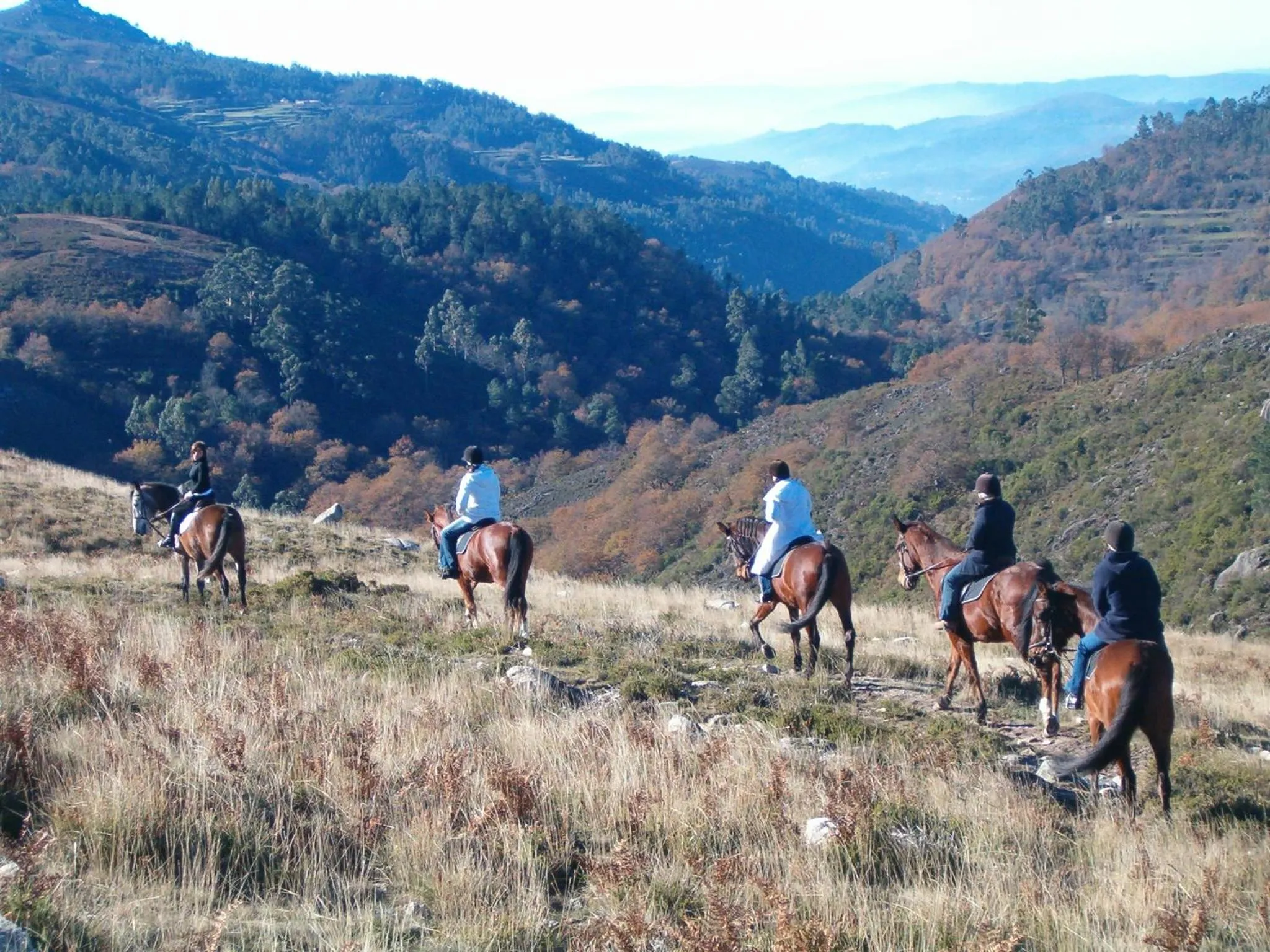 Horse-riding in Casa da Feira