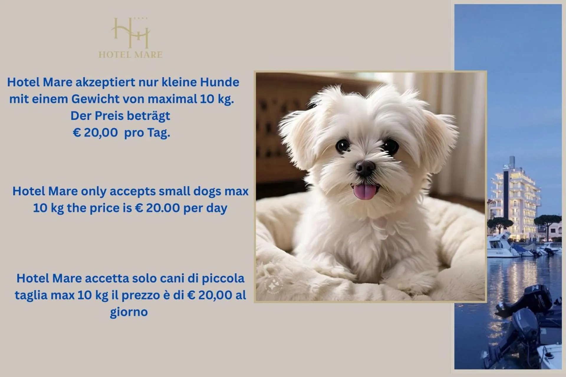 Pets in Hotel Mare