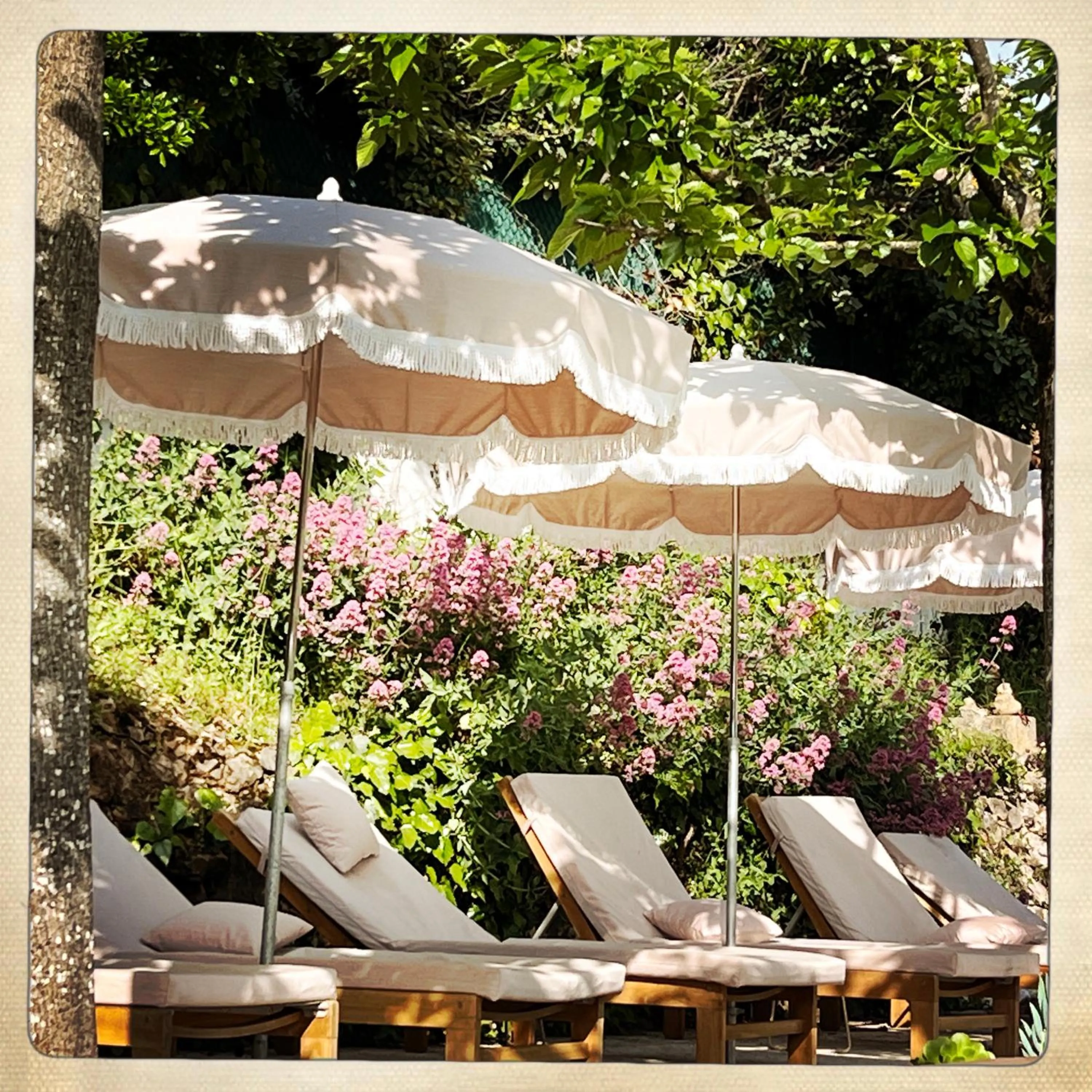 Garden in Hotel Les Messugues