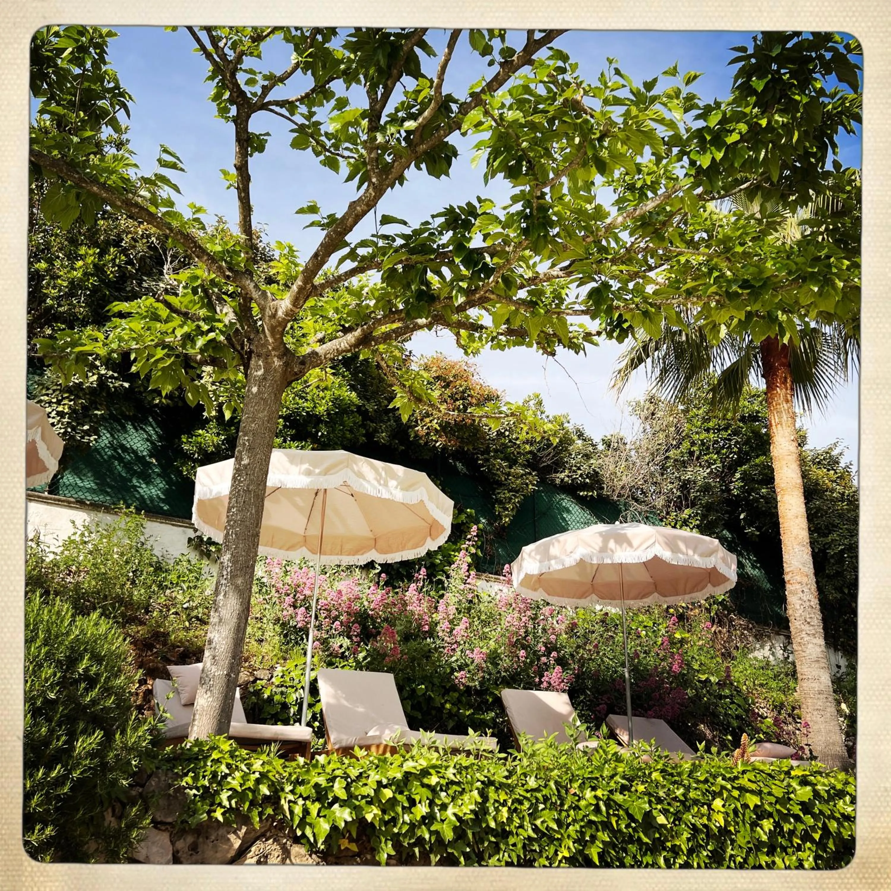 Garden in Hotel Les Messugues