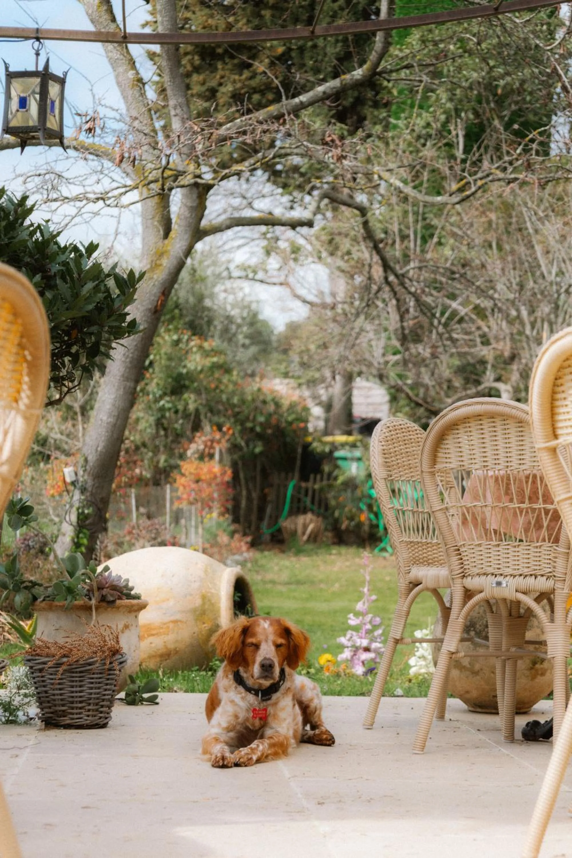 Balcony/Terrace in Hotel Les Messugues
