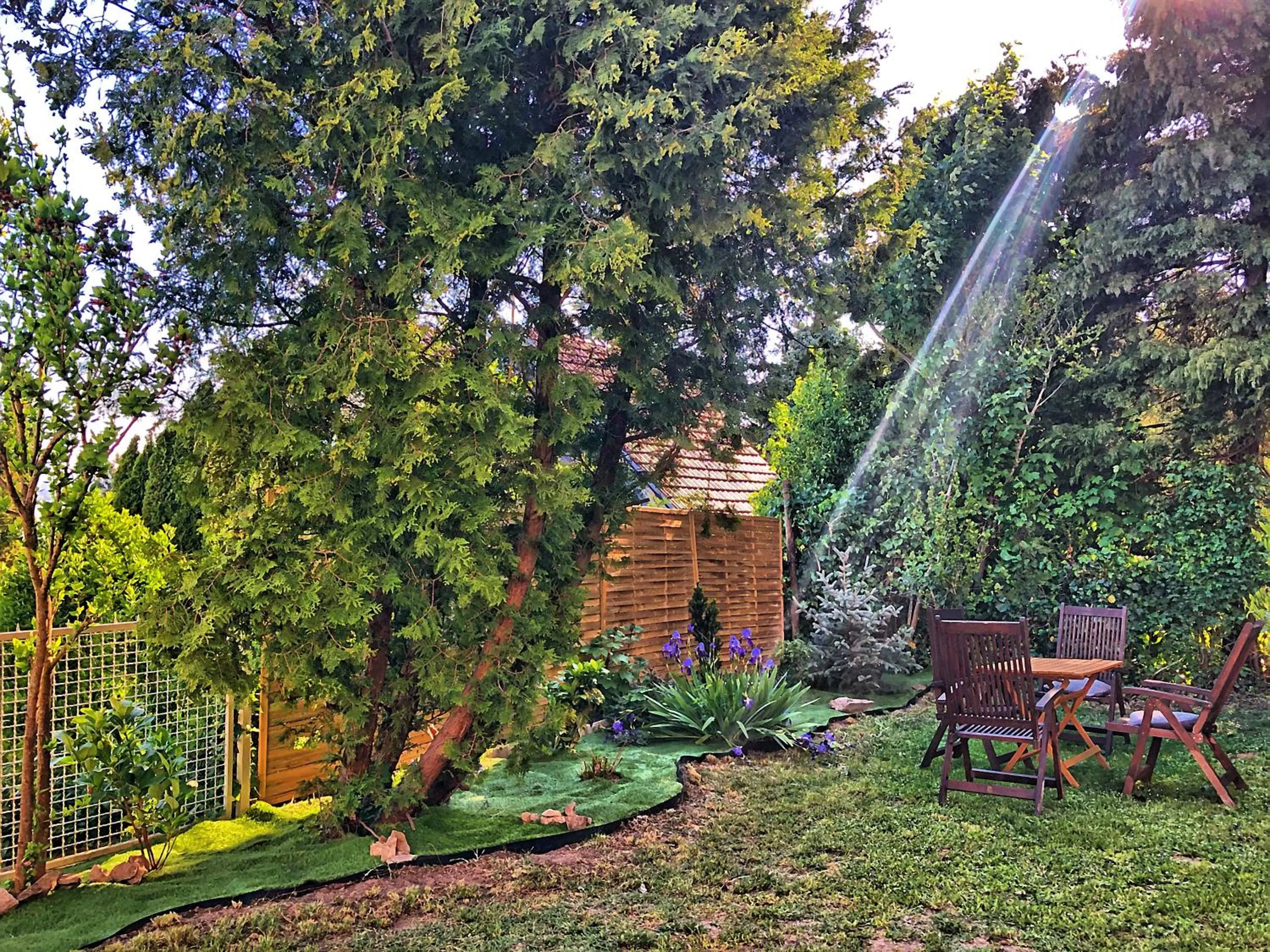 Natural landscape in Villa Borostyán