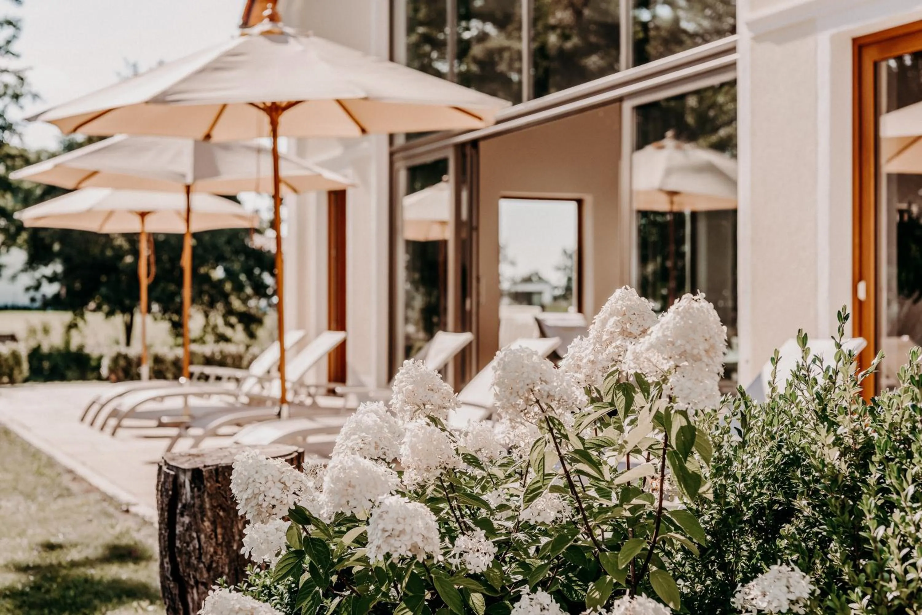 Garden in Der Eisvogel - Wellness- & Genusshotel