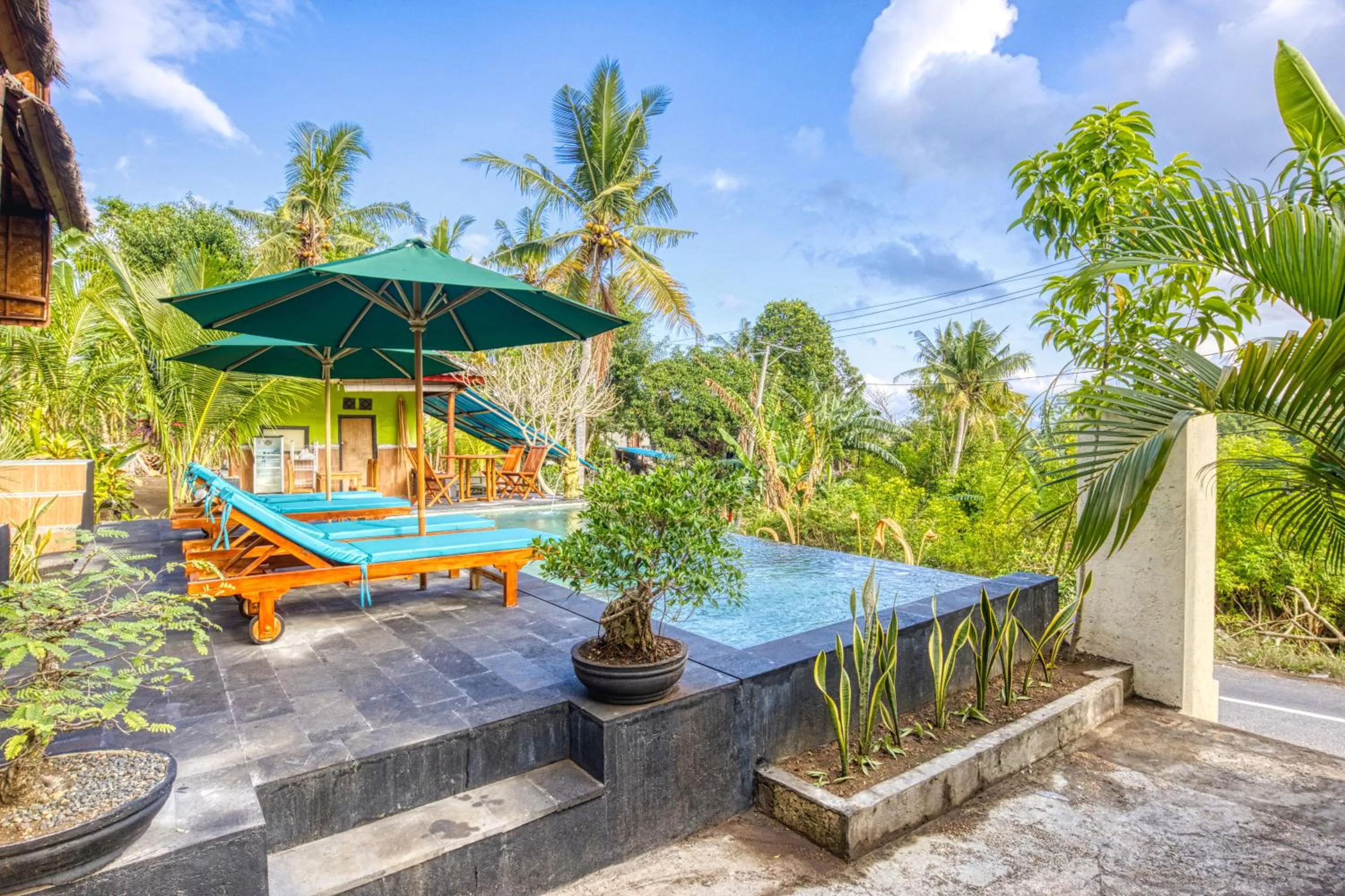 Swimming pool in The Mountain Cottage