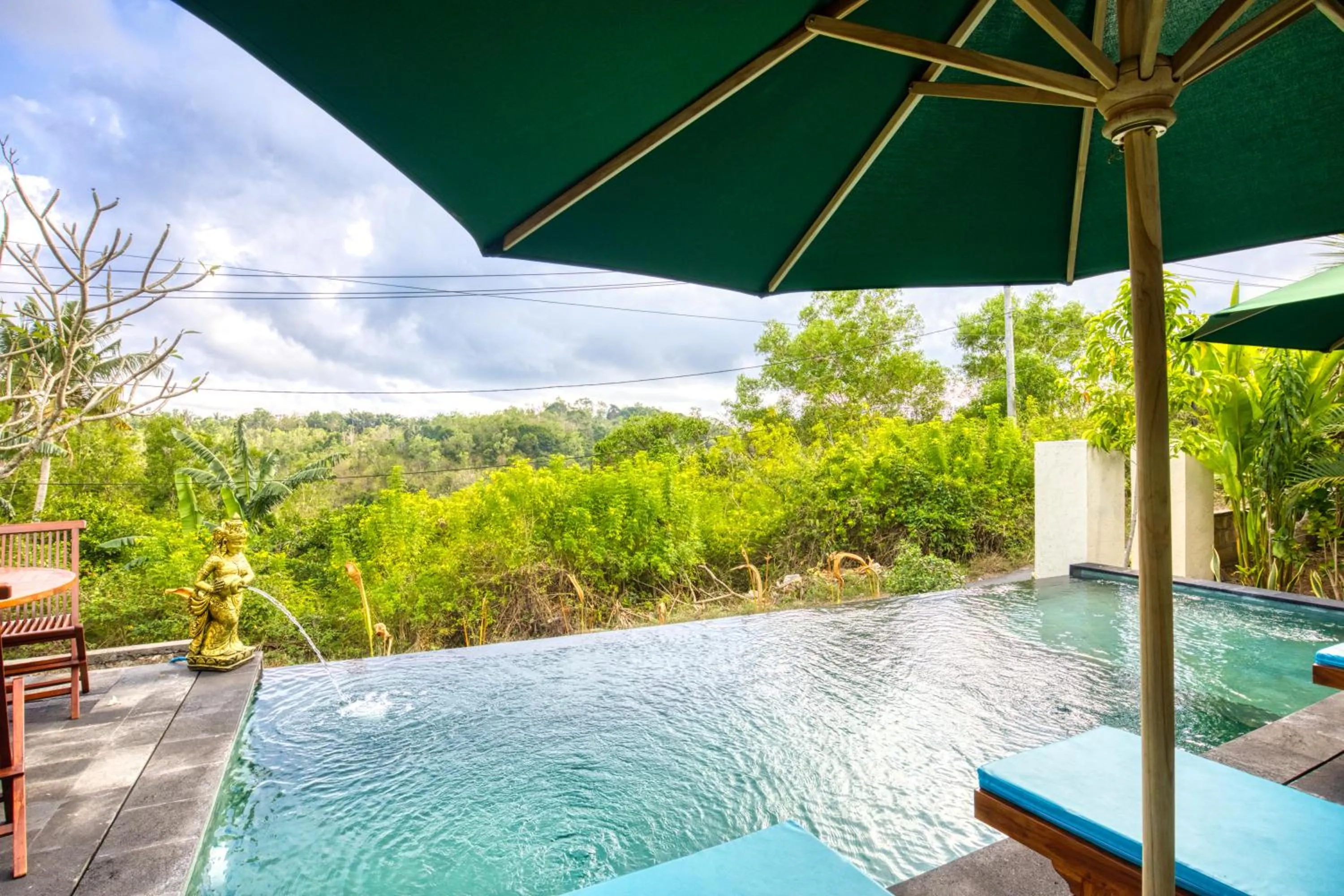 Swimming pool in The Mountain Cottage