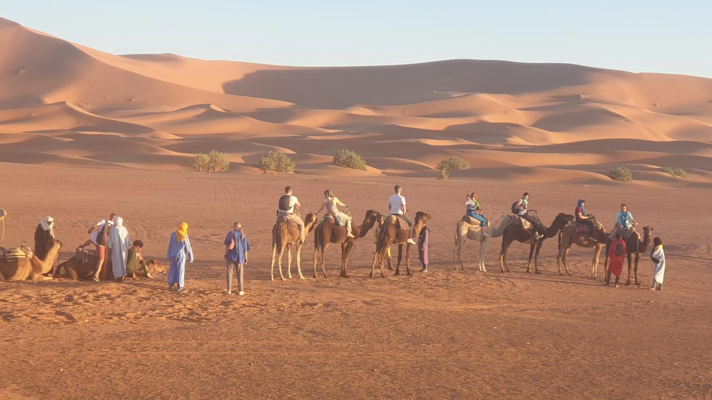 Auberge Sahara Garden